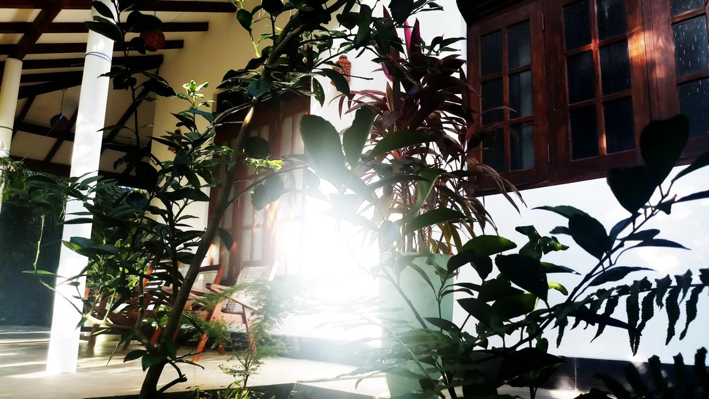 Sunrise in Eagle Homestay