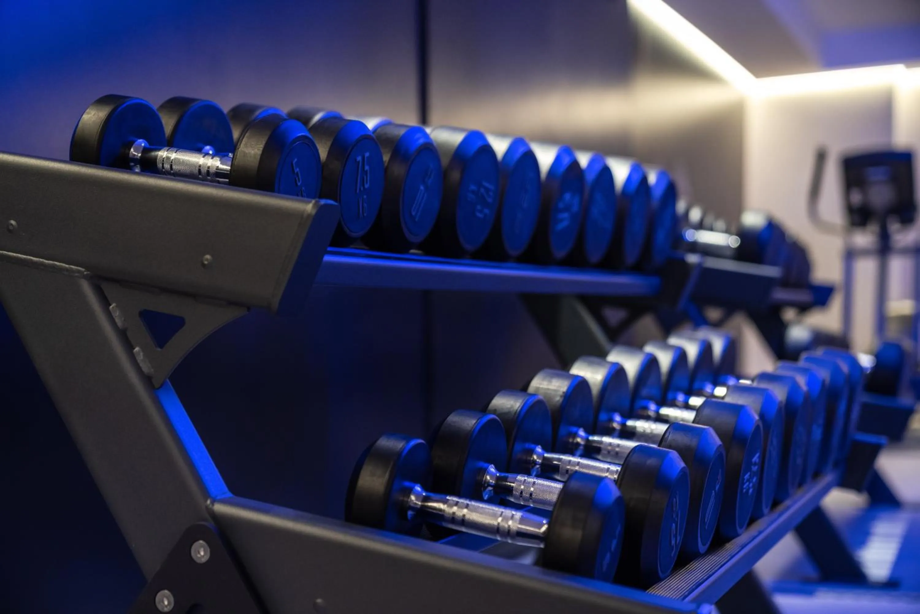 Fitness centre/facilities in Suites Plaza Hotel & Wellness