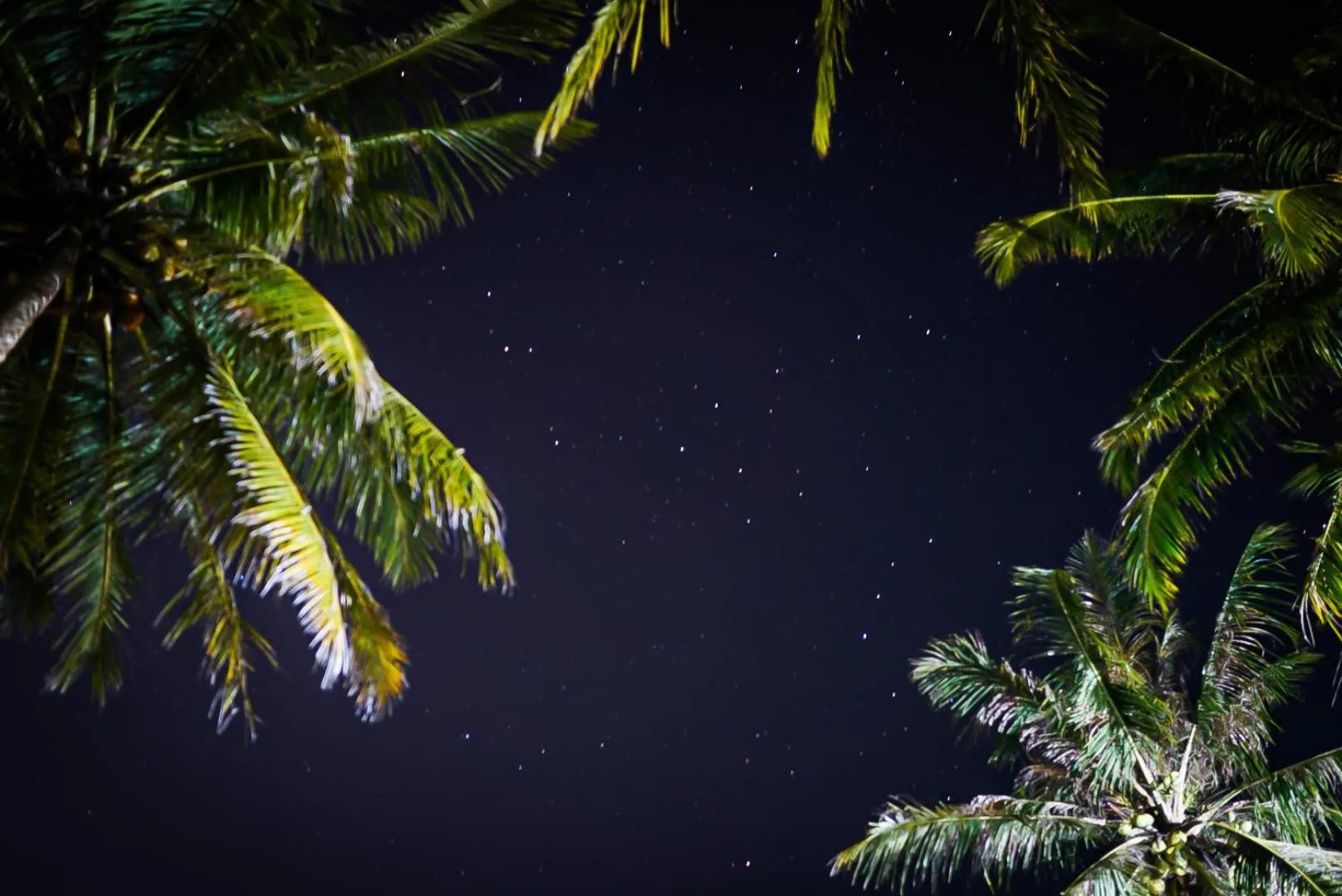 Night in Sumatra Surf Resort