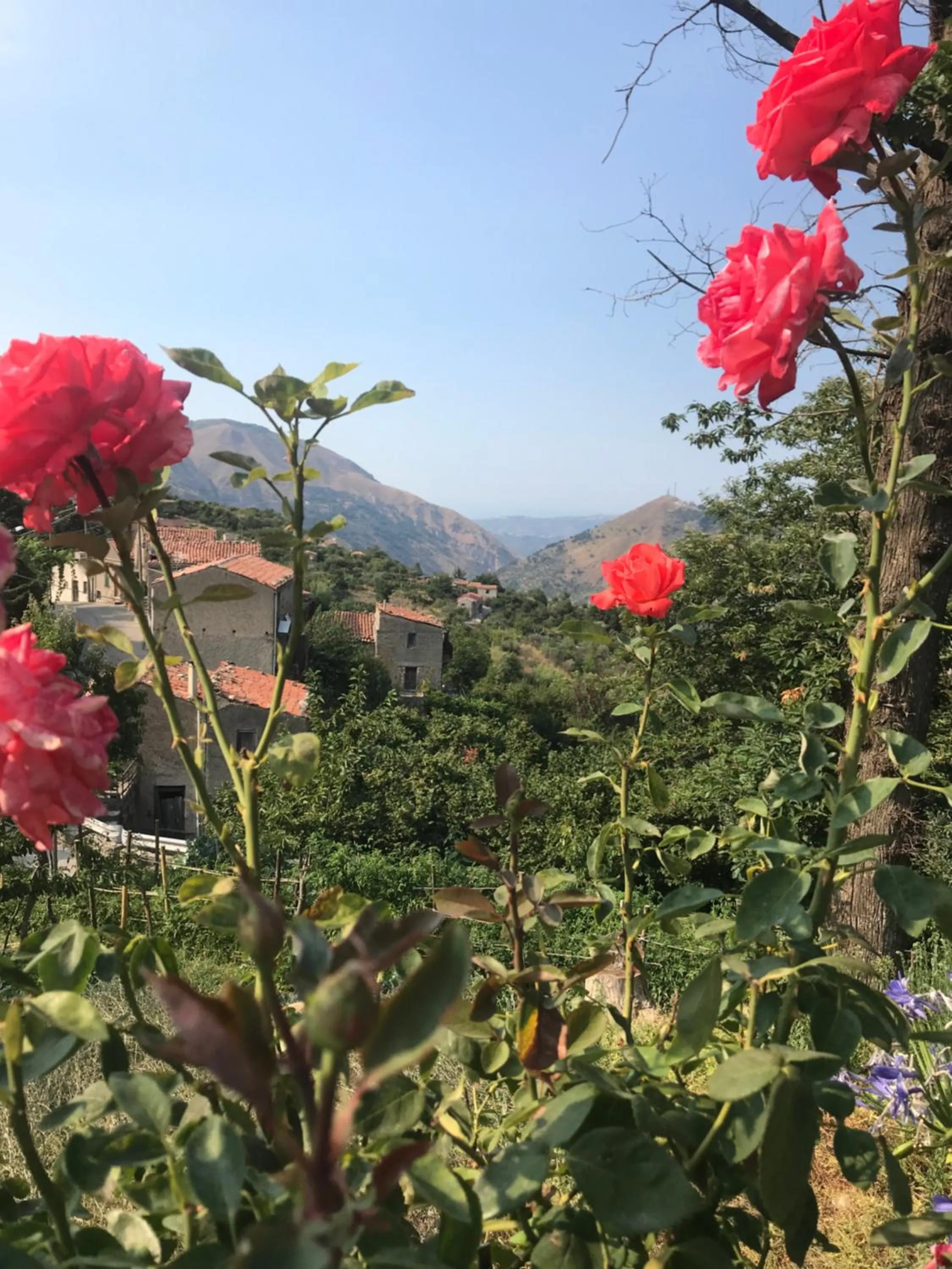 Antico Borgo San Francesco