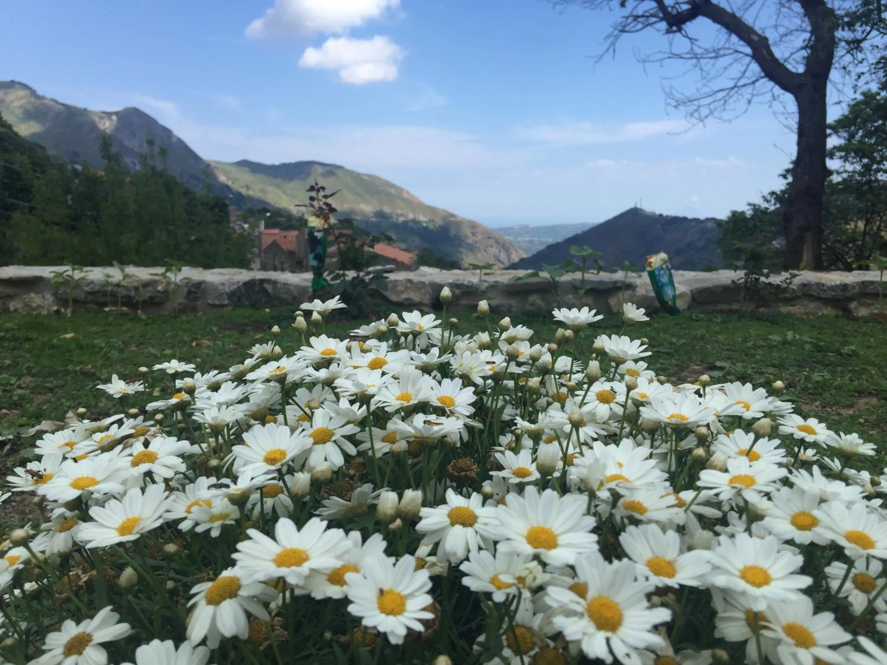 Floor plan in Antico Borgo San Francesco