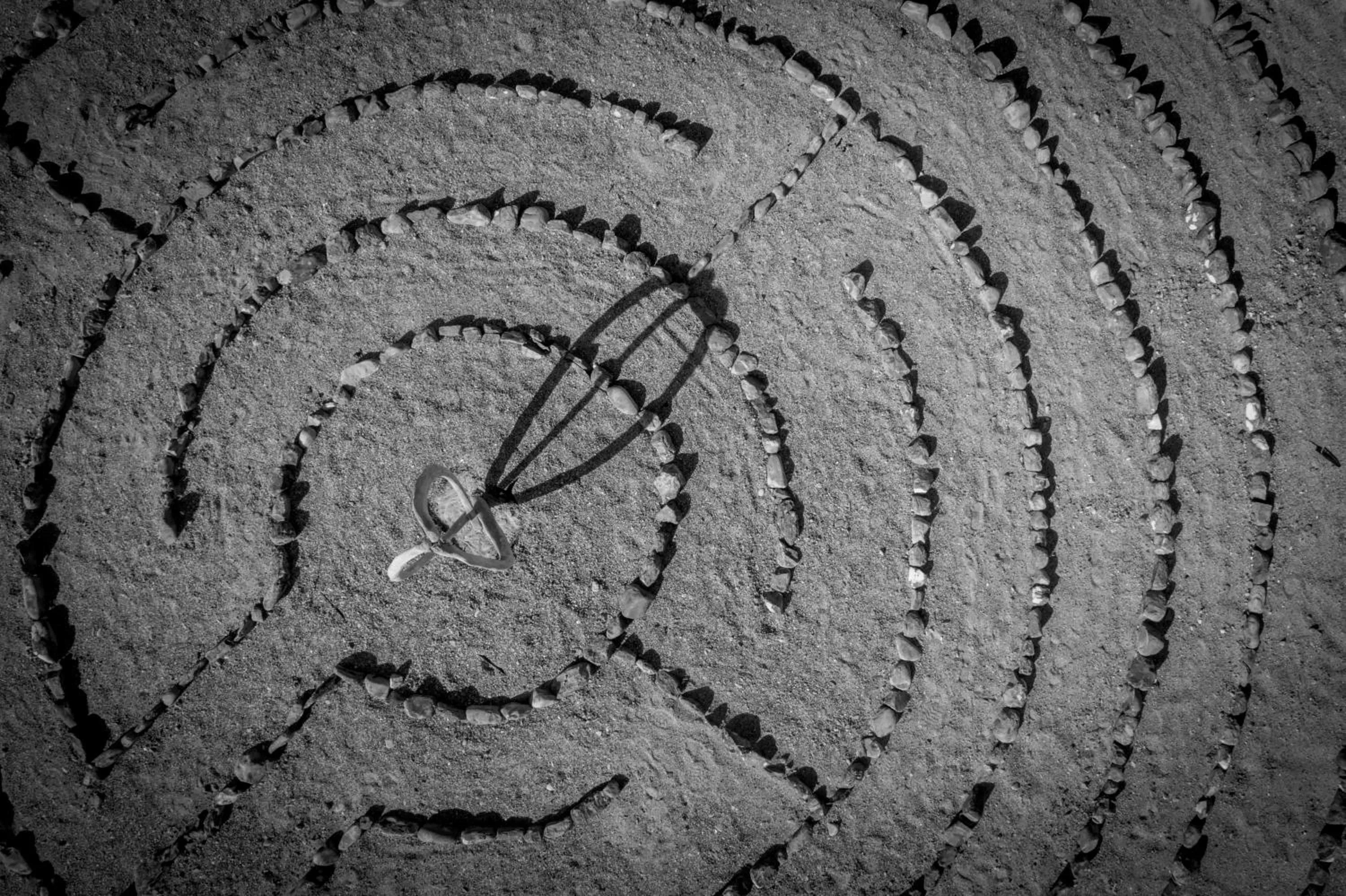 Bird's eye view in Gourikwa Coastal Nature Reserve
