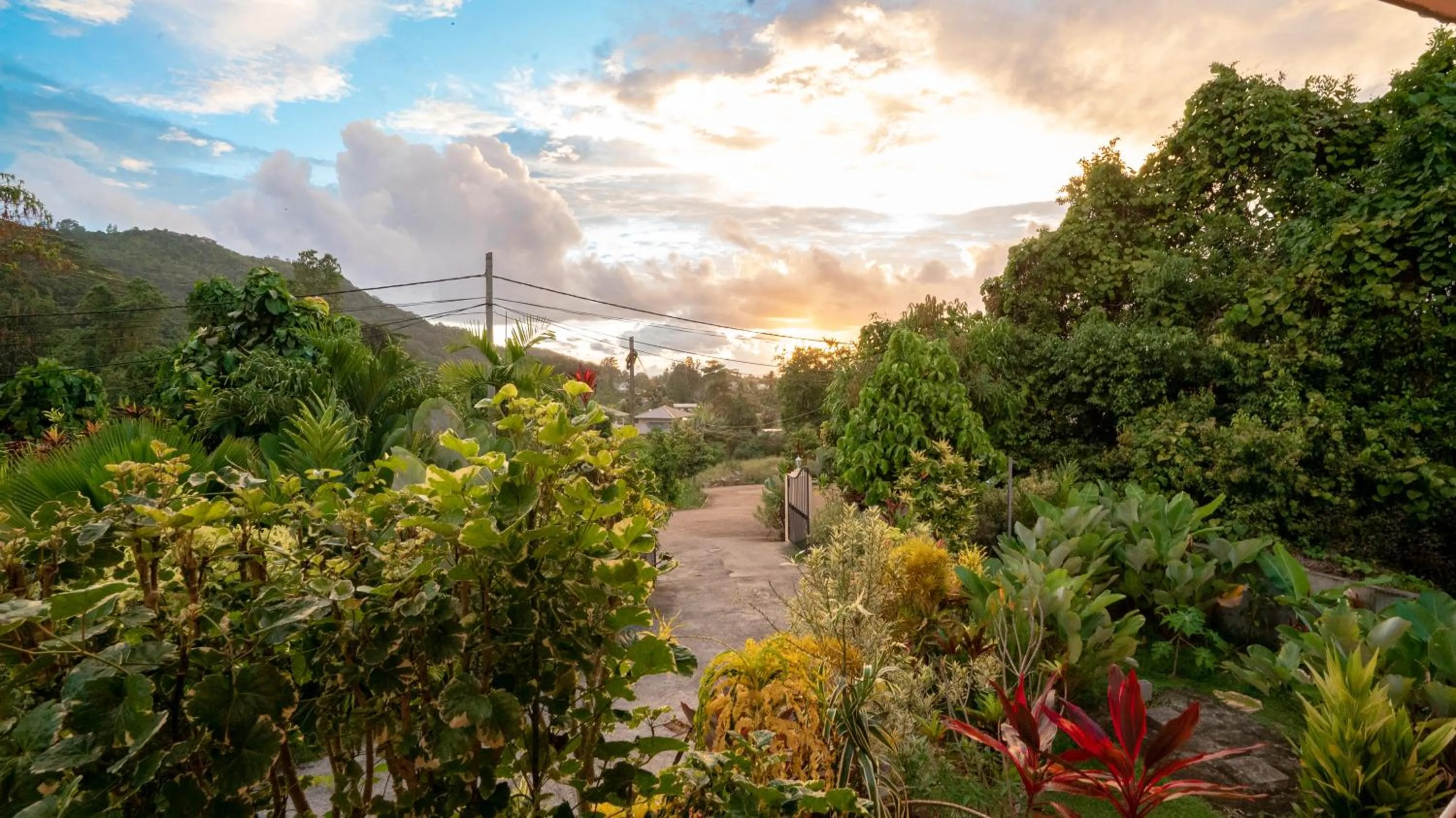 Sunset in Alha Villa