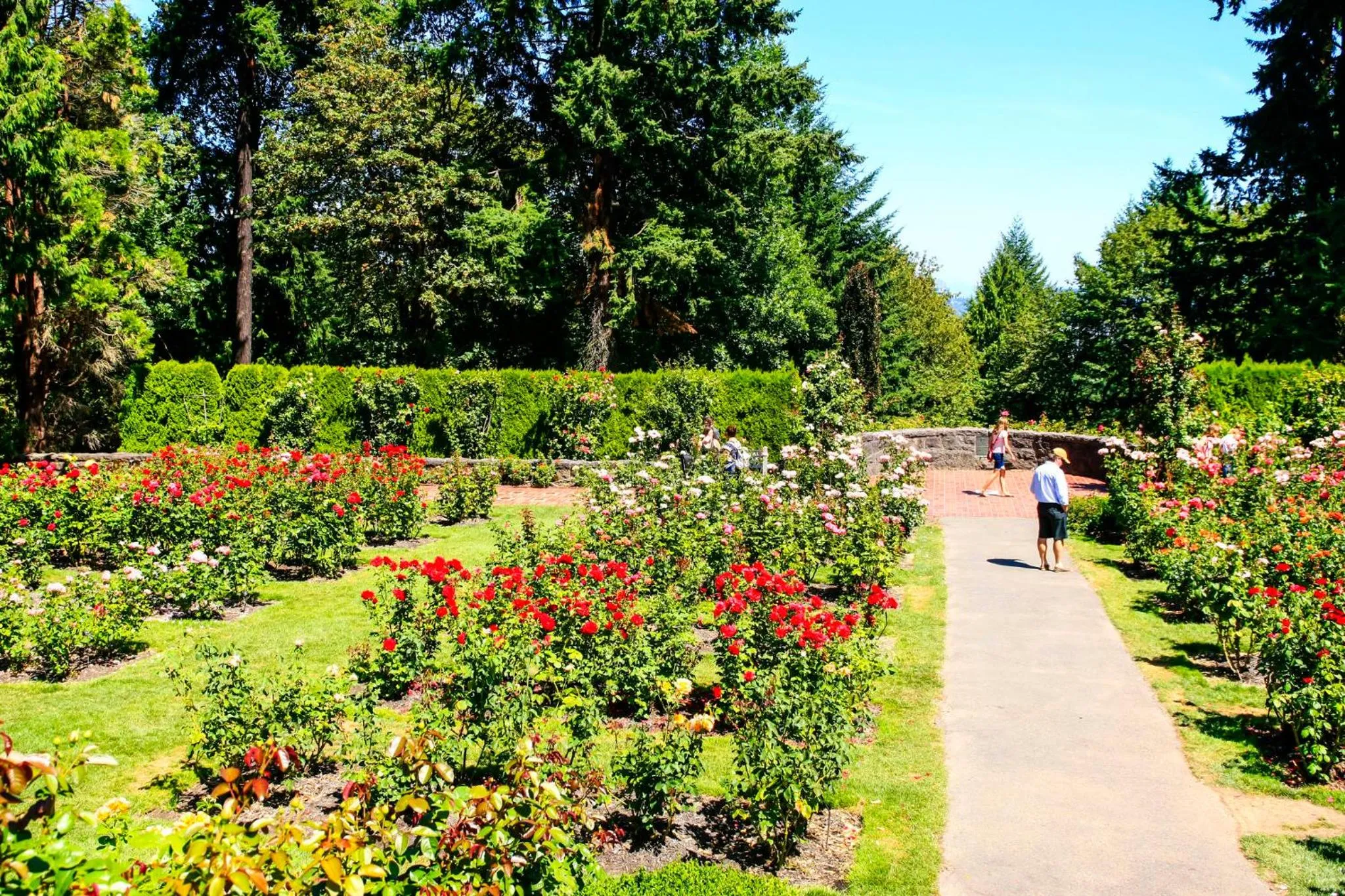 Nearby landmark in Holiday Inn Portland West - Hillsboro by IHG