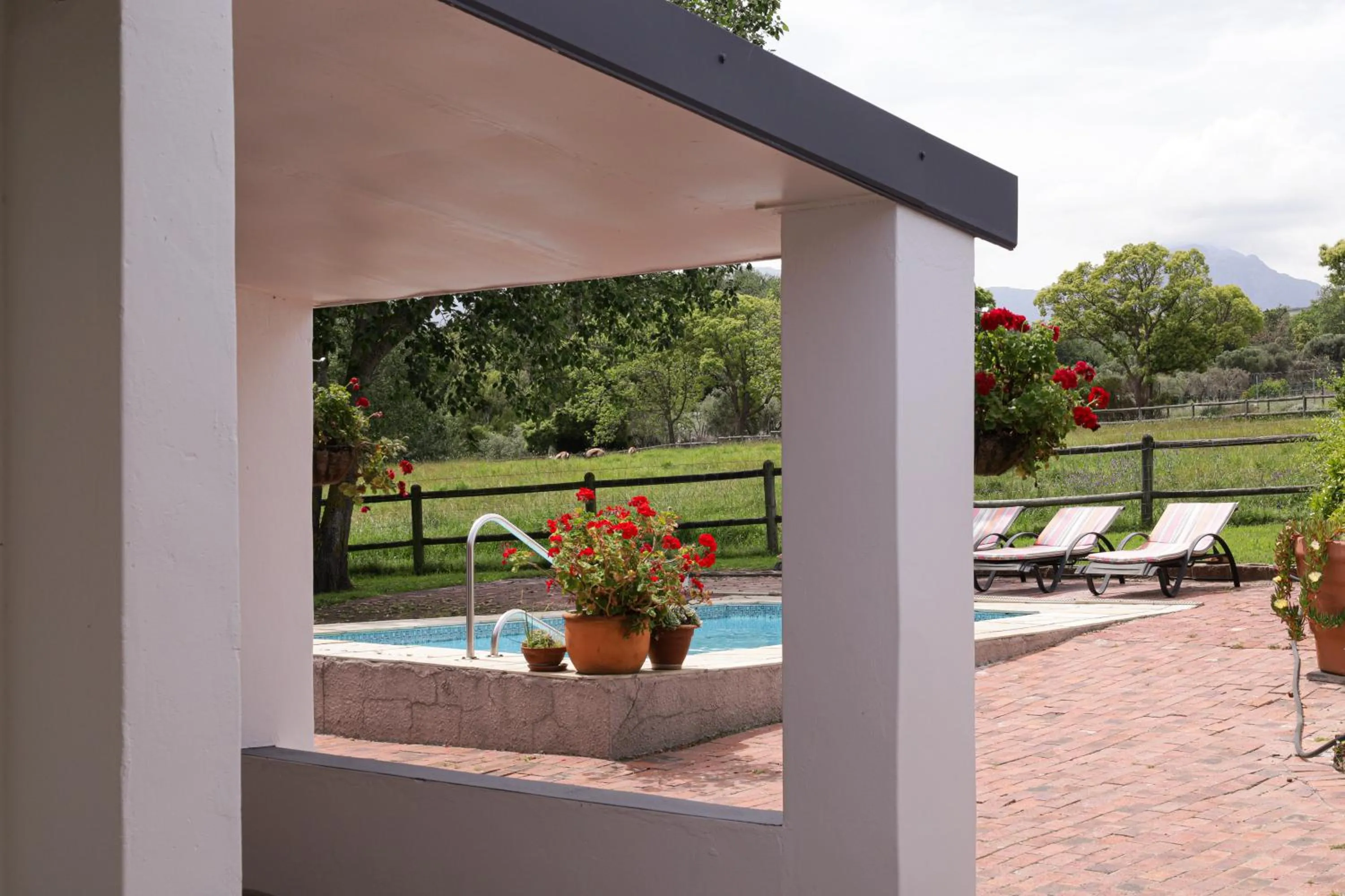 Swimming pool in Marshden Estate