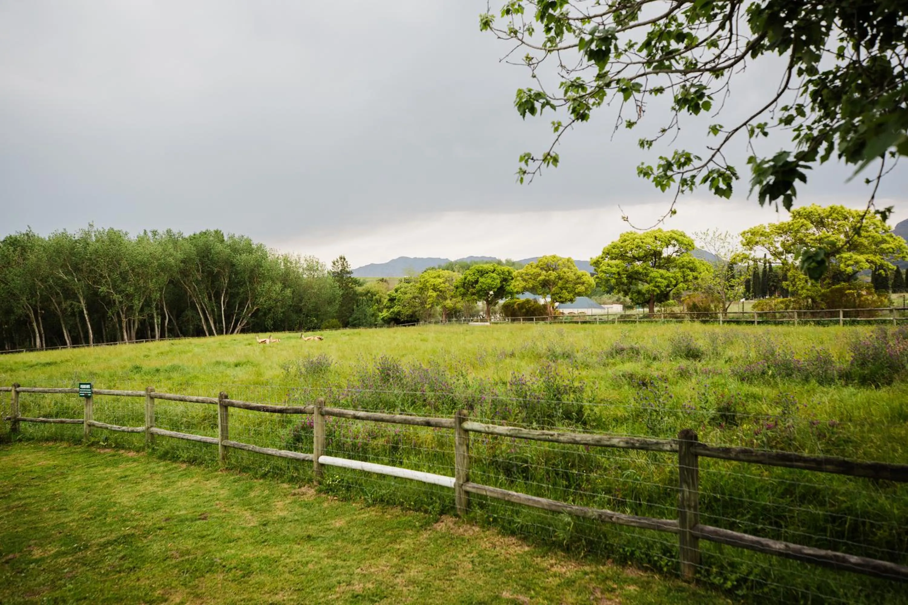 Garden view in Marshden Estate