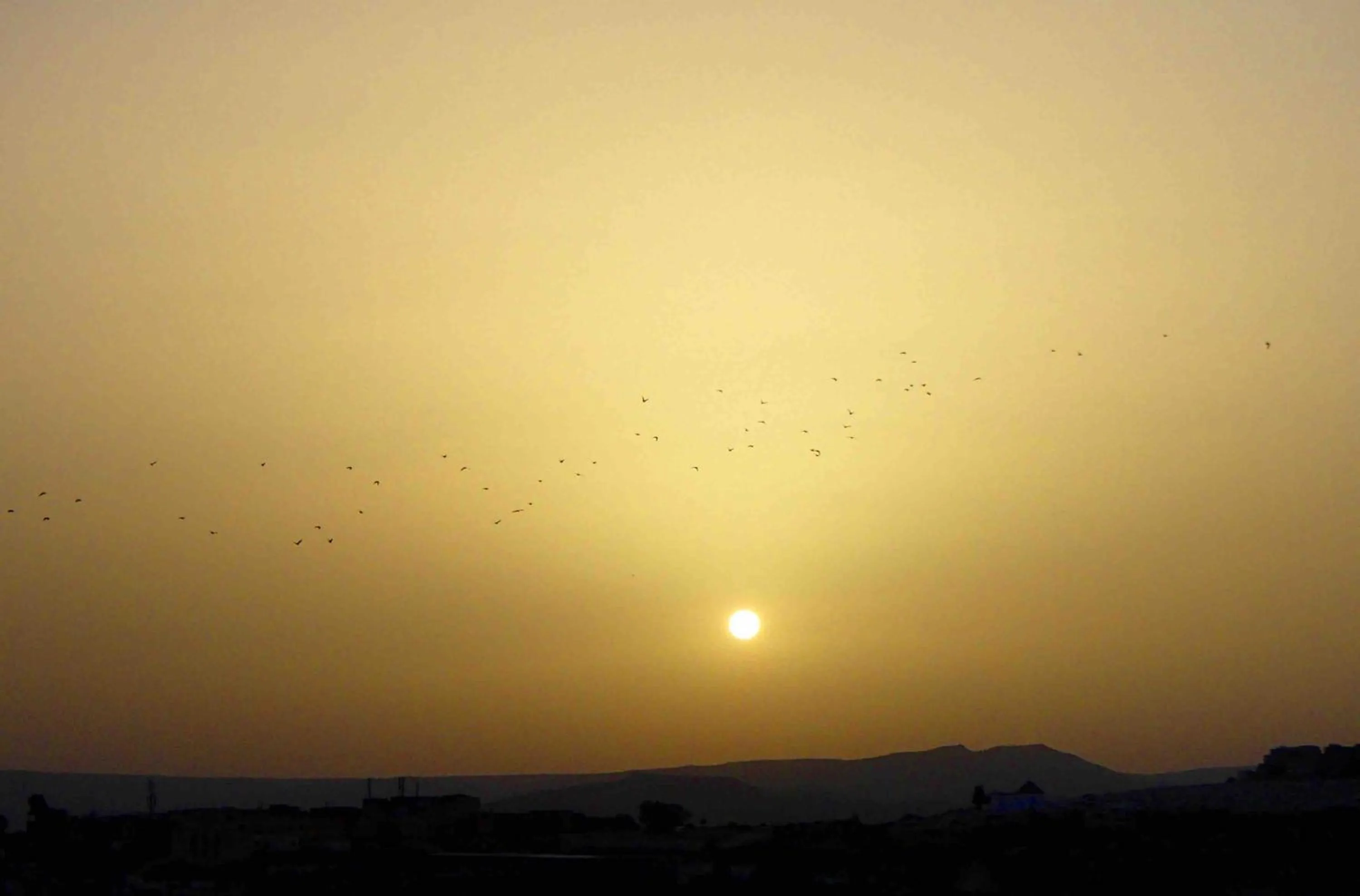 Property building in Dar Berrada-Ziat