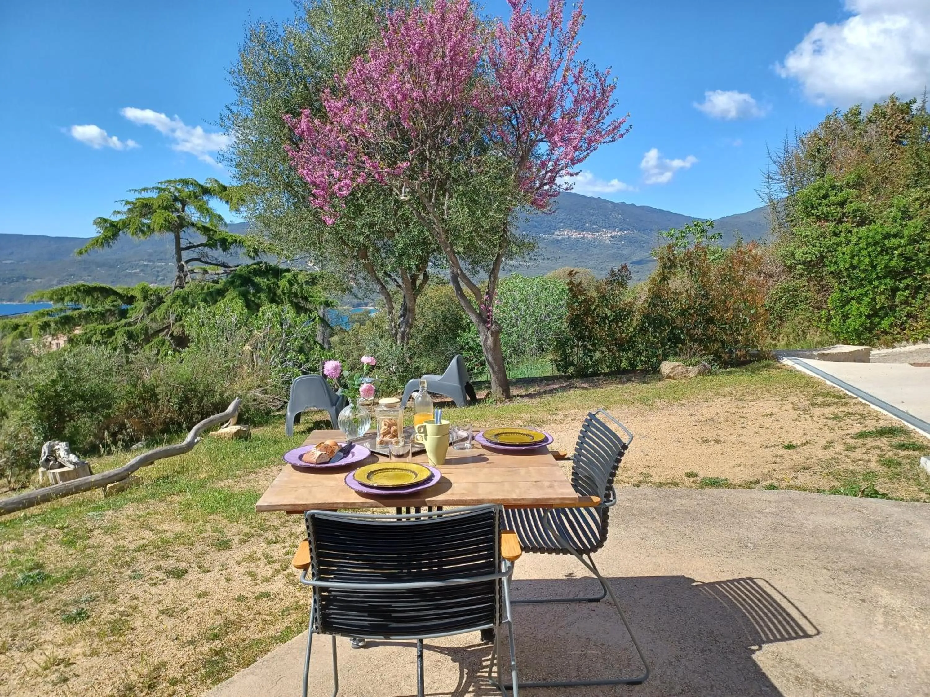 Patio in U Castellu, l' hôtel particulier