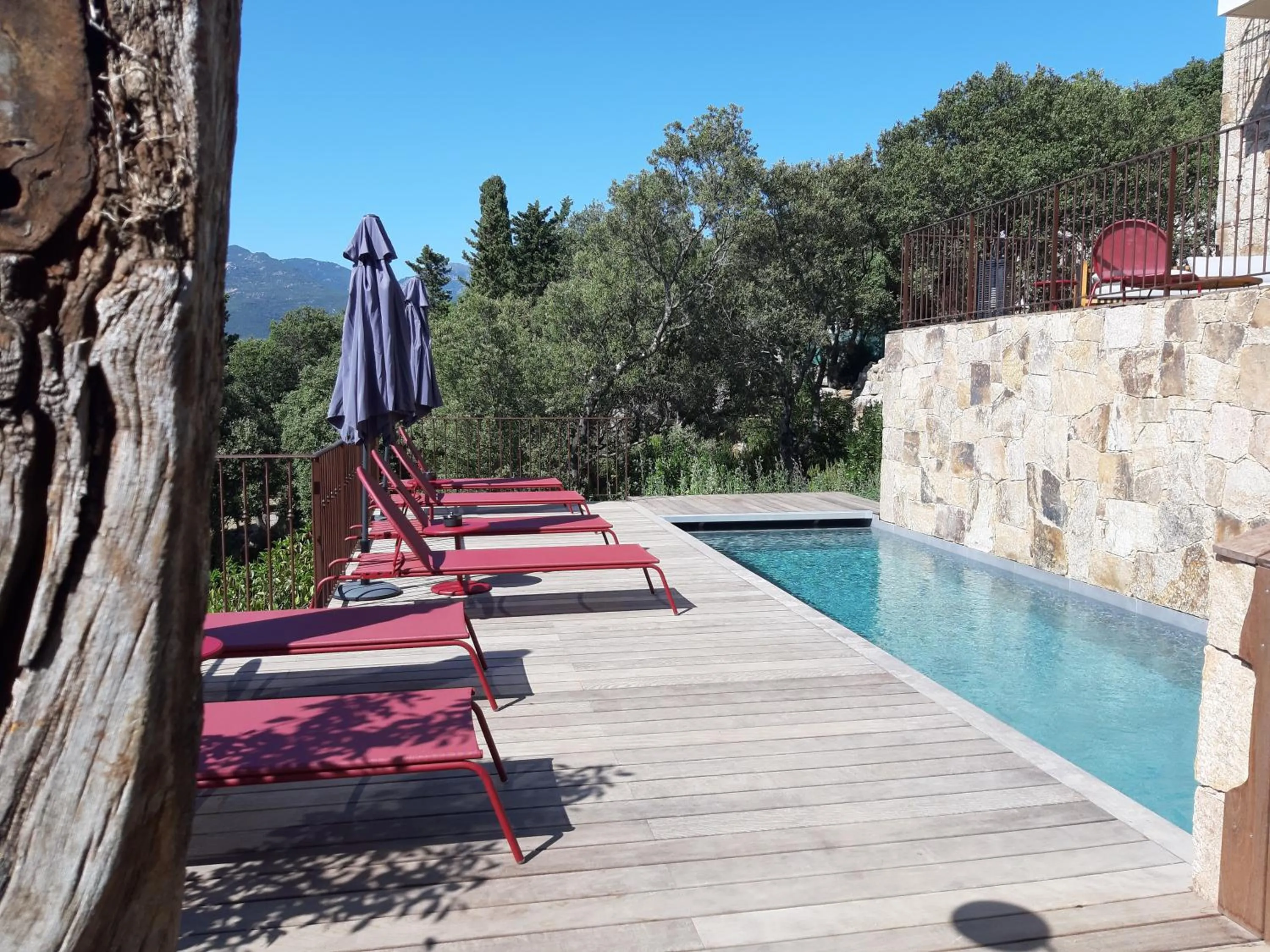 Swimming pool in U Castellu, l' hôtel particulier