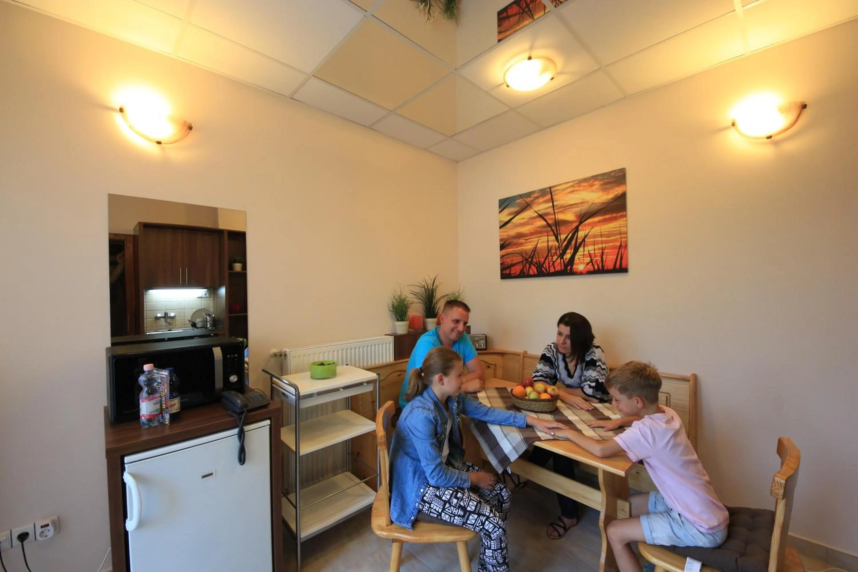 Kitchen or kitchenette in Napraforgó Wellness Ház és Panzió
