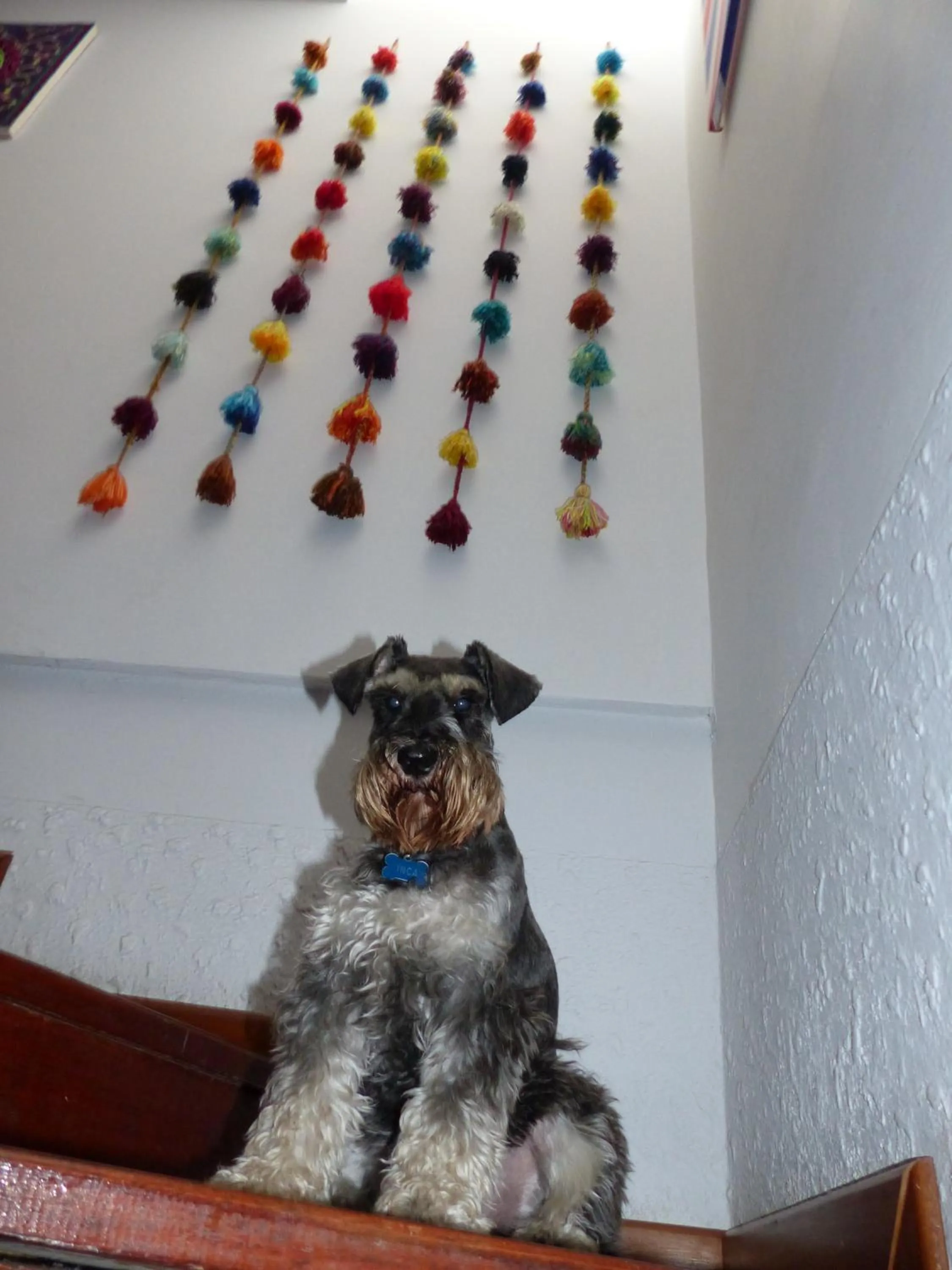 The Lighthouse Bed and Breakfast