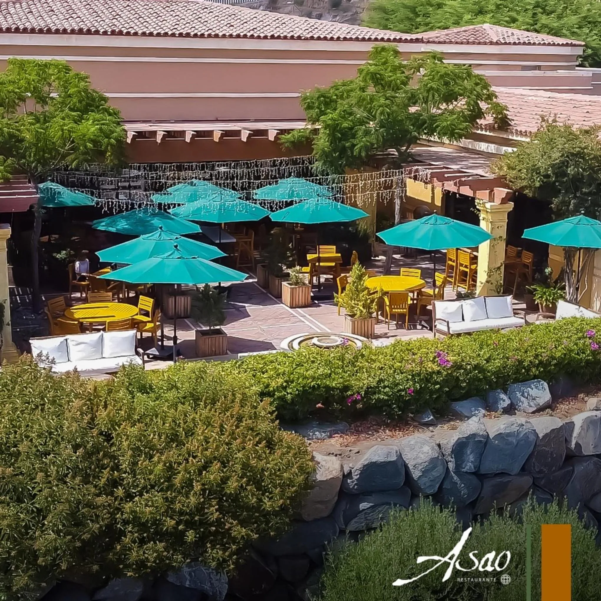 Spring in Santuario Diegueño