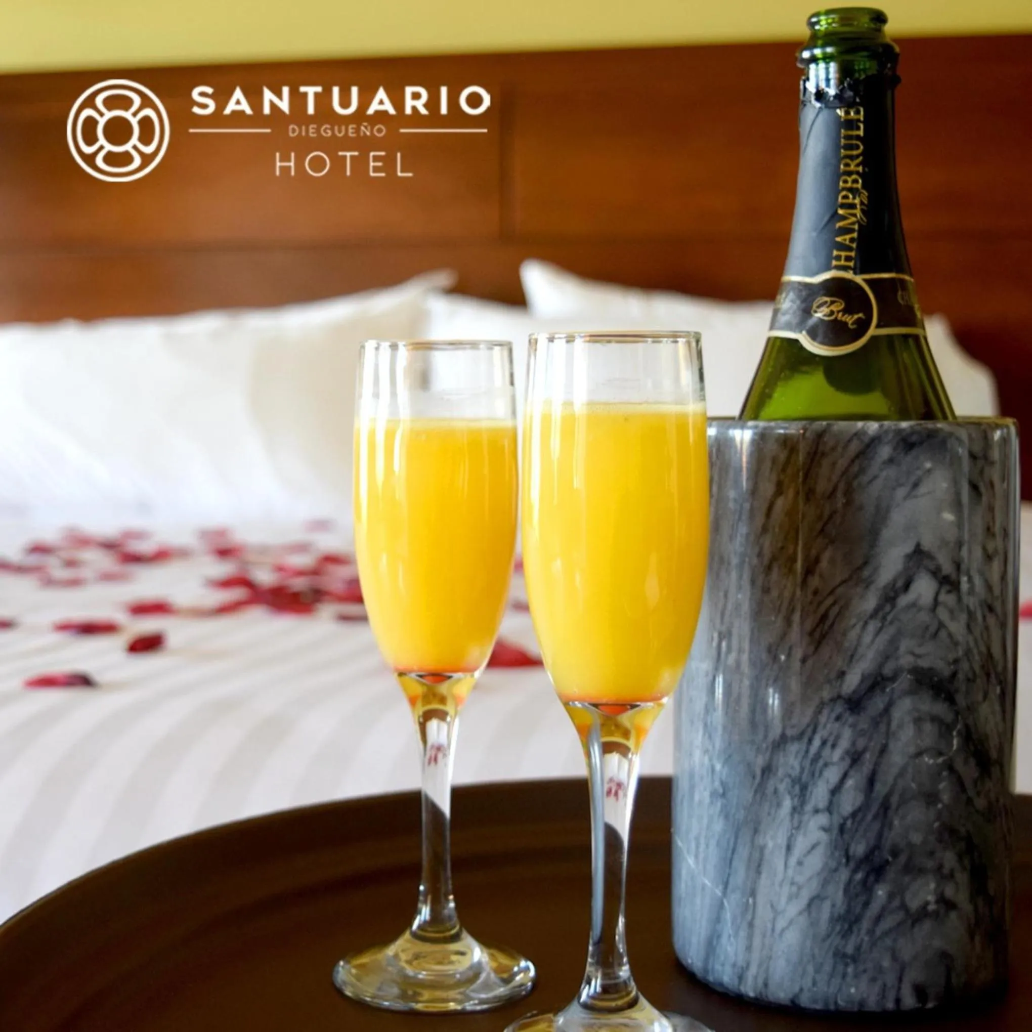 Drinks, Bed in Santuario Diegueño