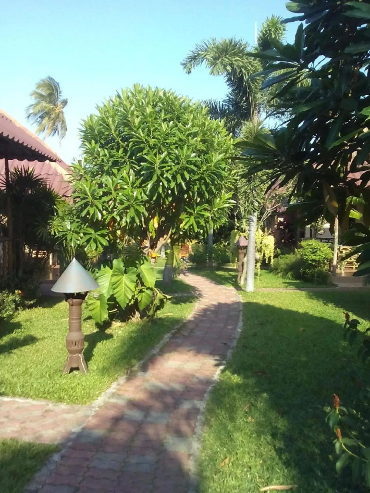 Garden in Bee Nat Garden Resort