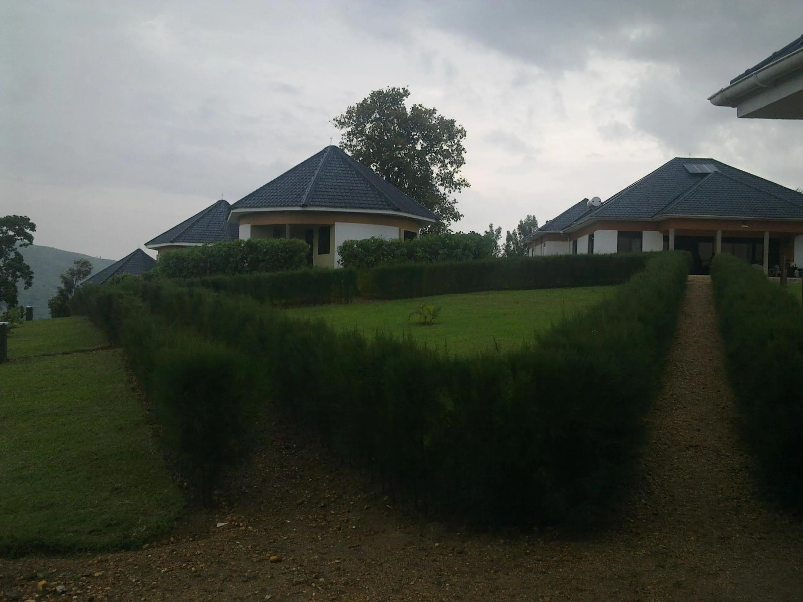 Garden in The Crested Crane Bwindi Hotel