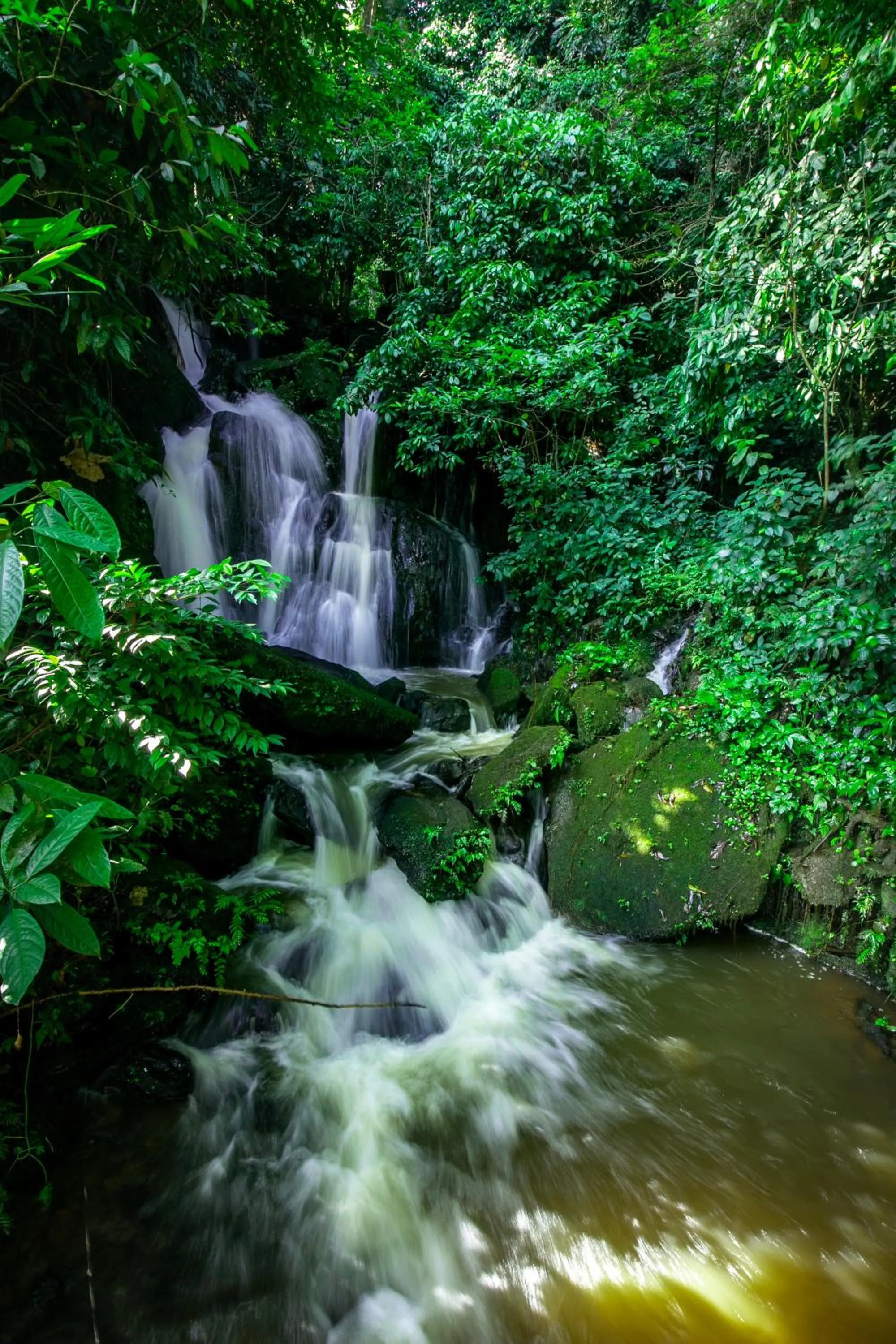 Natural landscape in The Crested Crane Bwindi Hotel