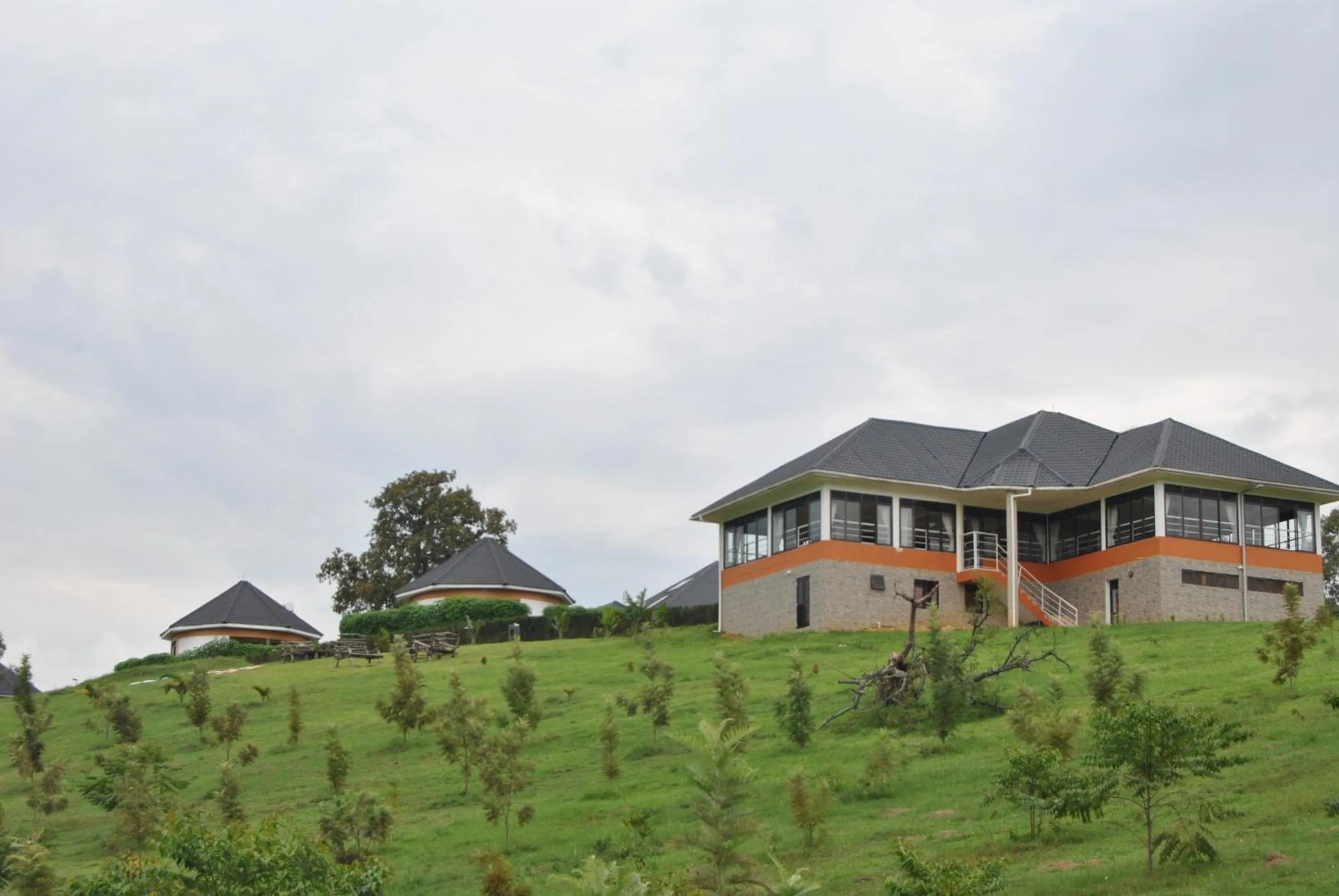 Restaurant/places to eat in The Crested Crane Bwindi Hotel