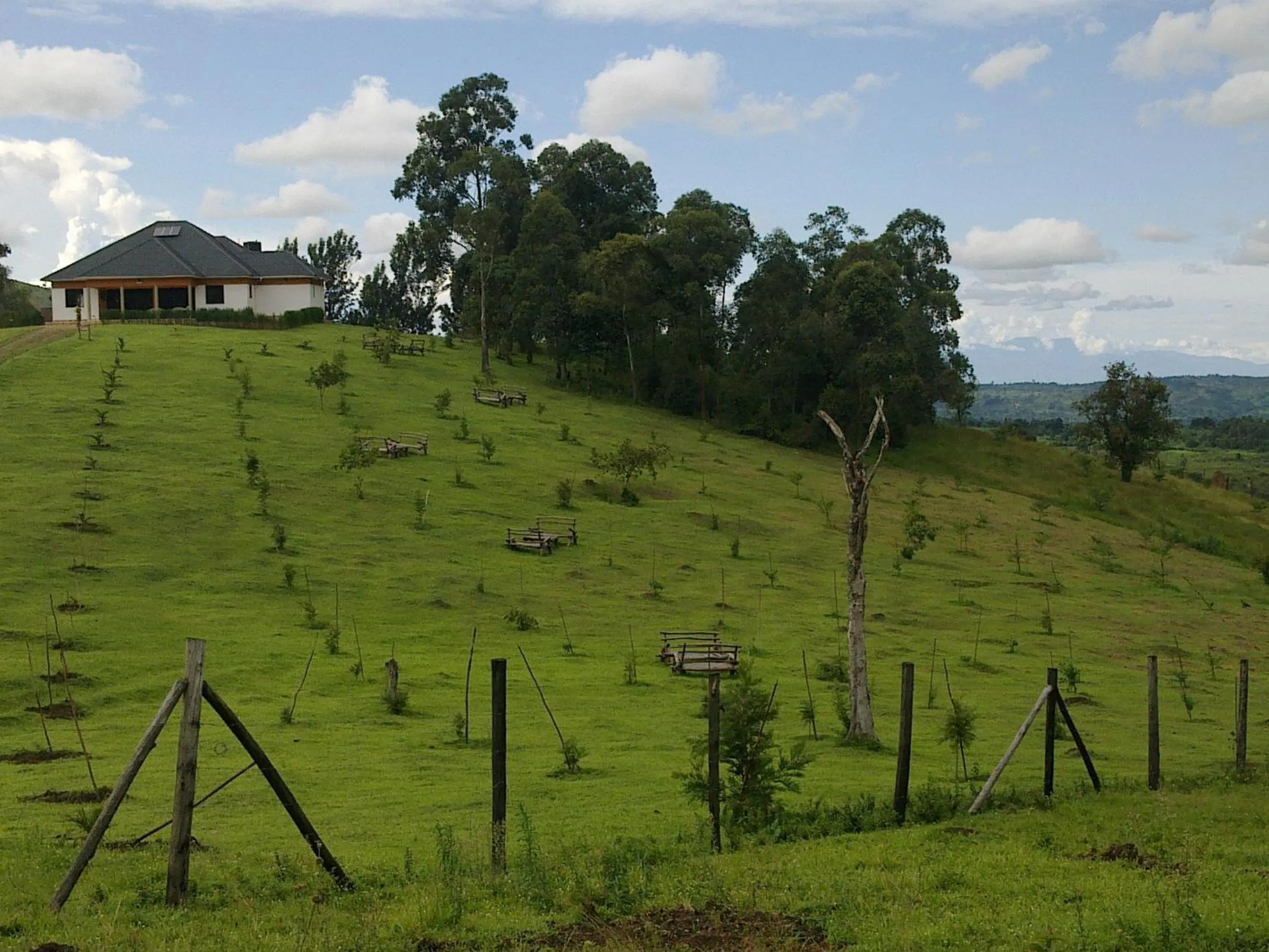 Natural landscape in The Crested Crane Bwindi Hotel