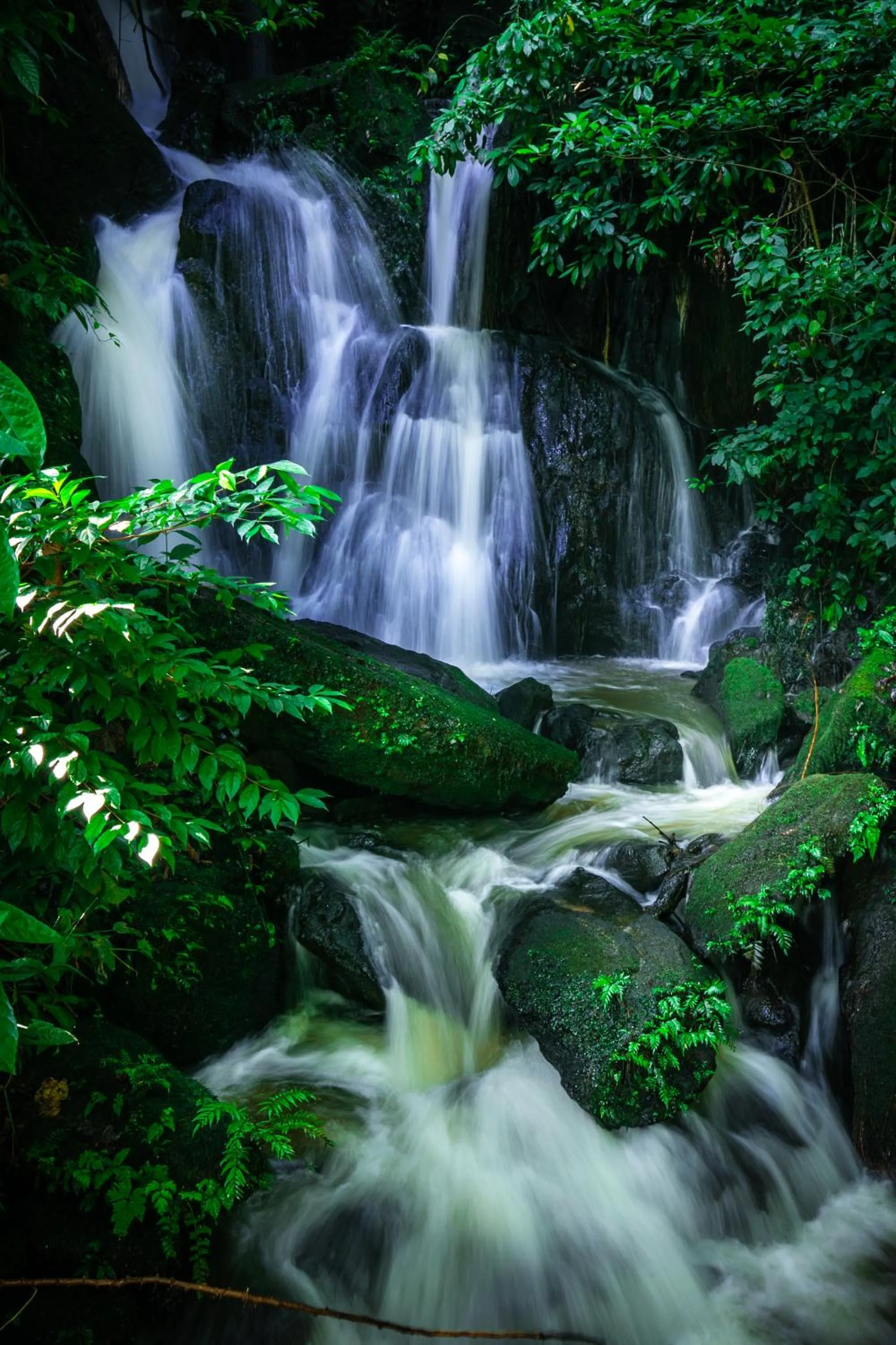 Natural landscape in The Crested Crane Bwindi Hotel