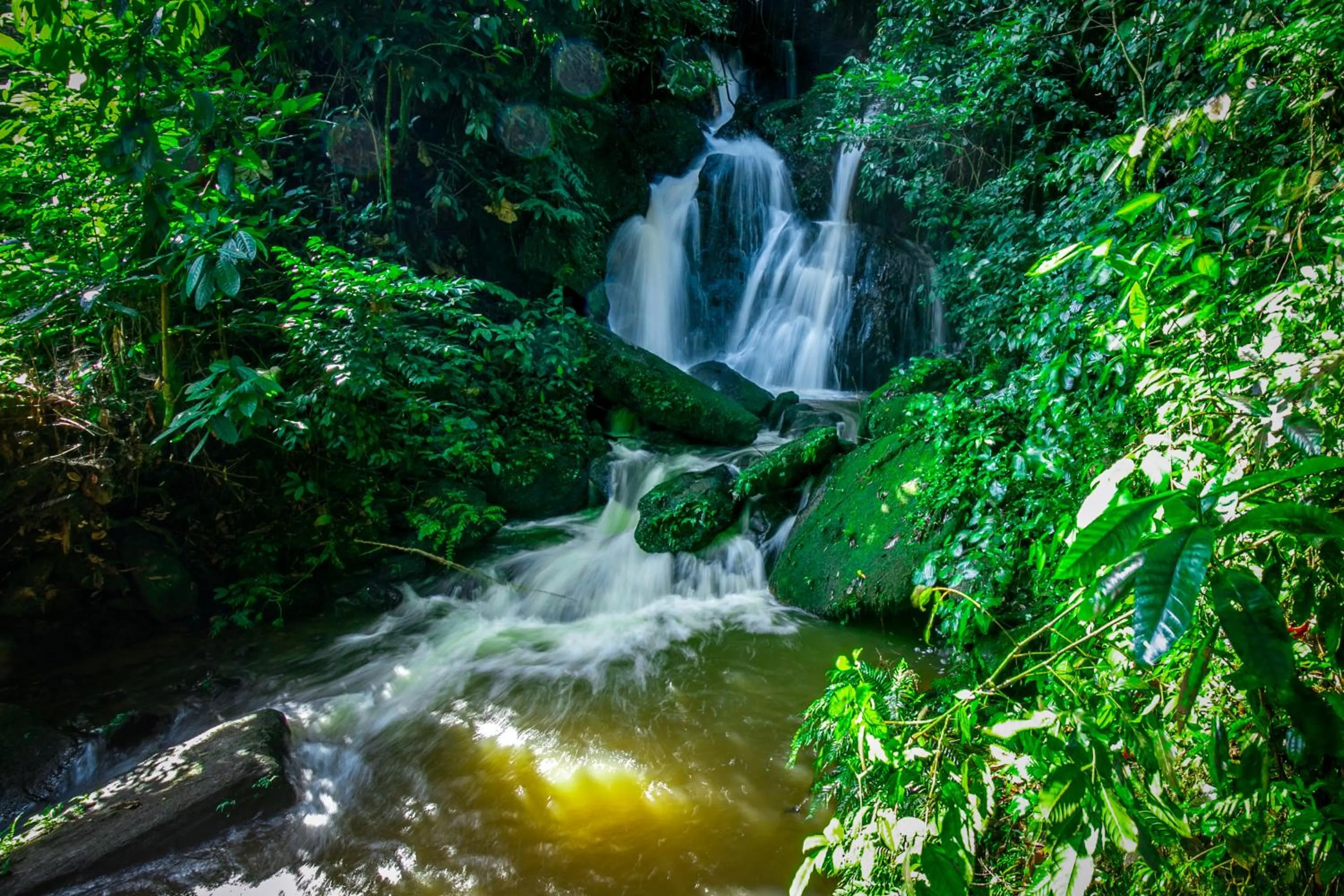 Natural landscape in The Crested Crane Bwindi Hotel