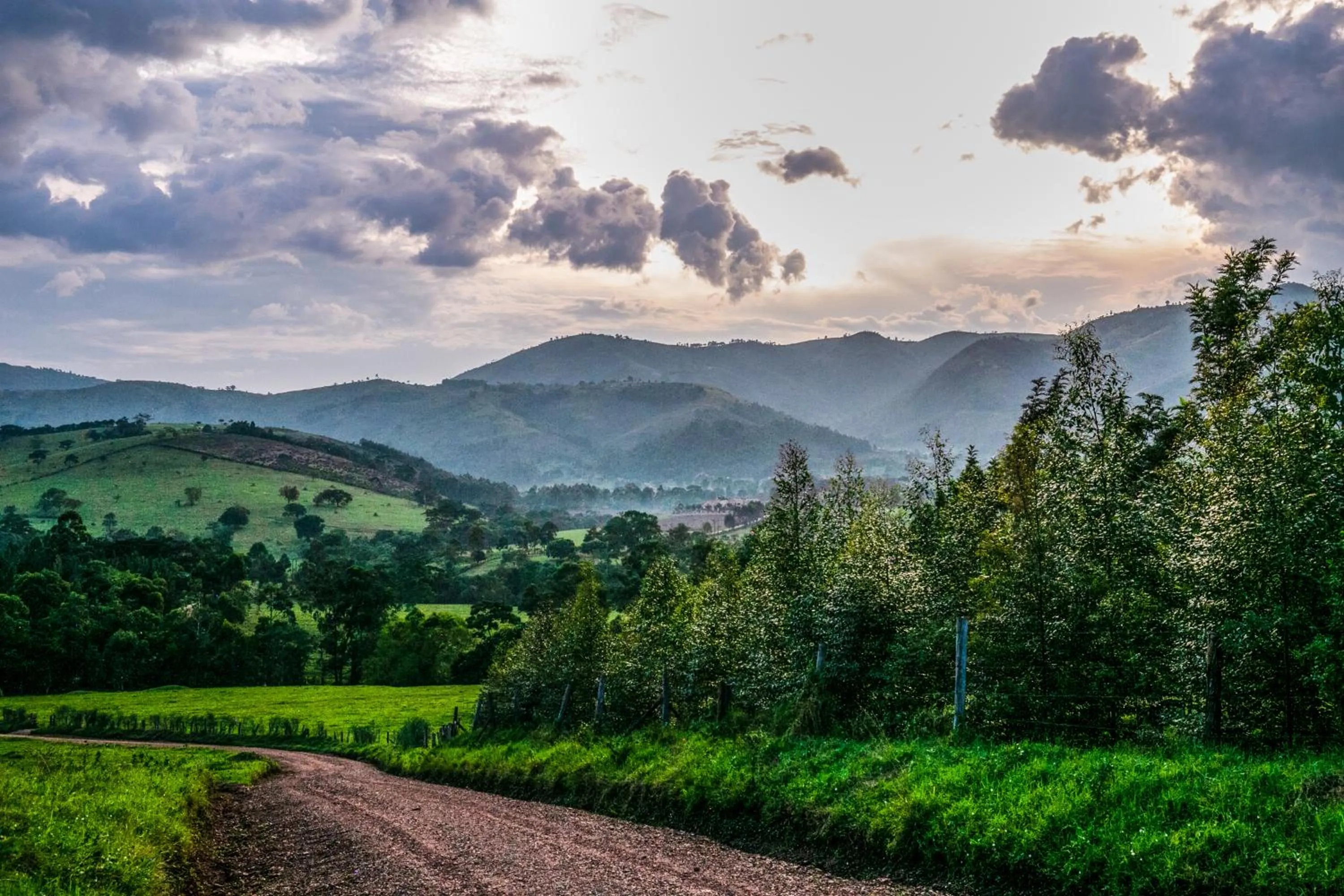 Natural landscape in The Crested Crane Bwindi Hotel