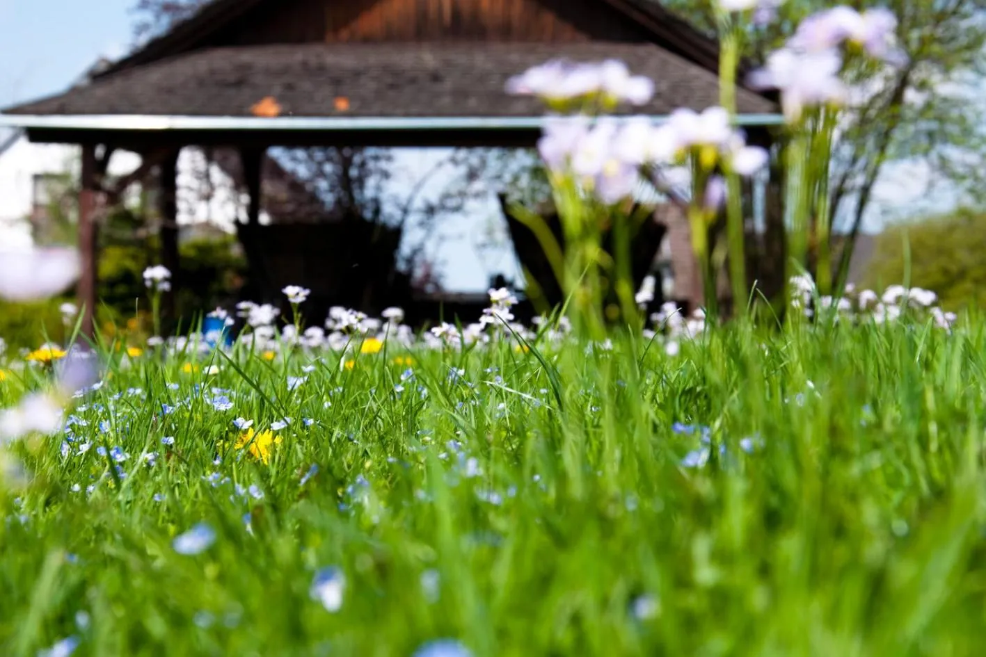 Spring in Haus Schlesien