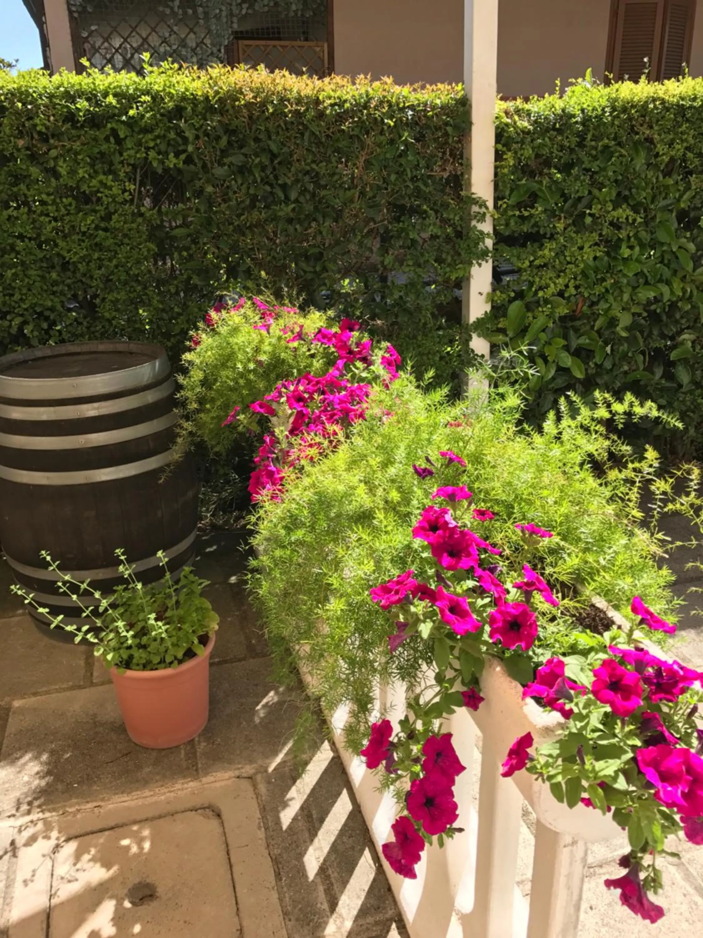 Hotel B&B Rispescia Grosseto