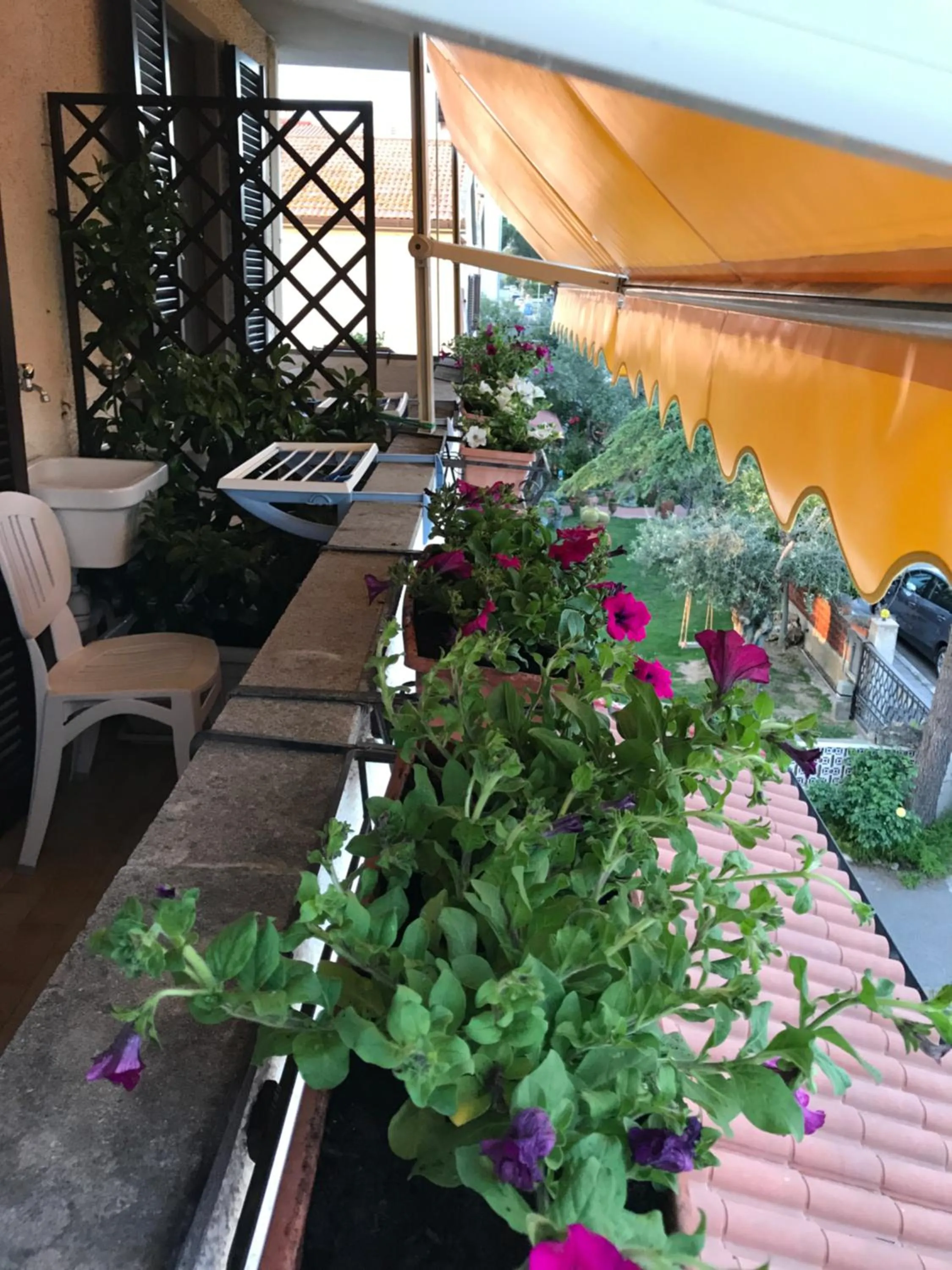 Hotel B&B Rispescia Grosseto