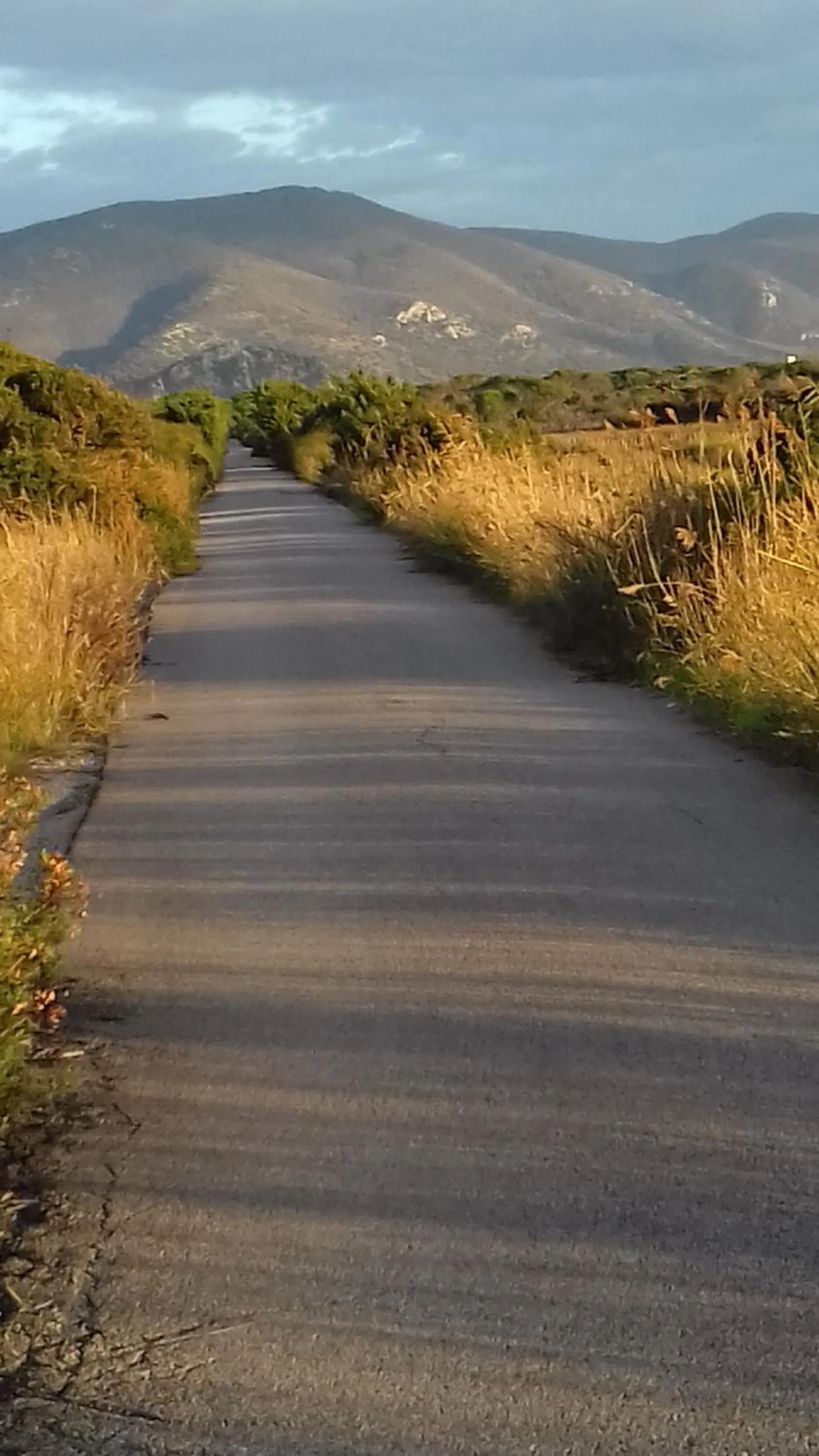 Hotel B&B Rispescia Grosseto