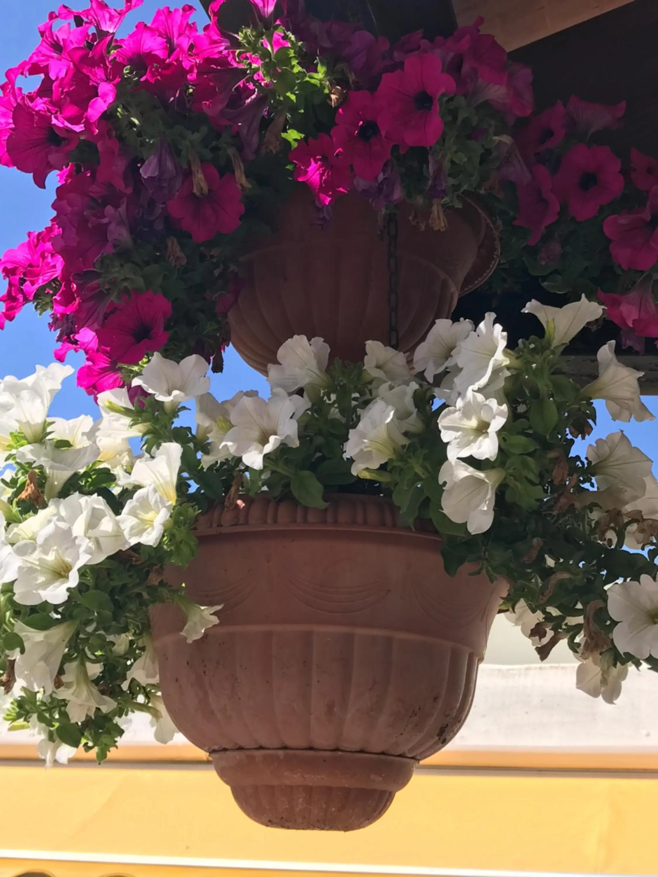 Hotel B&B Rispescia Grosseto