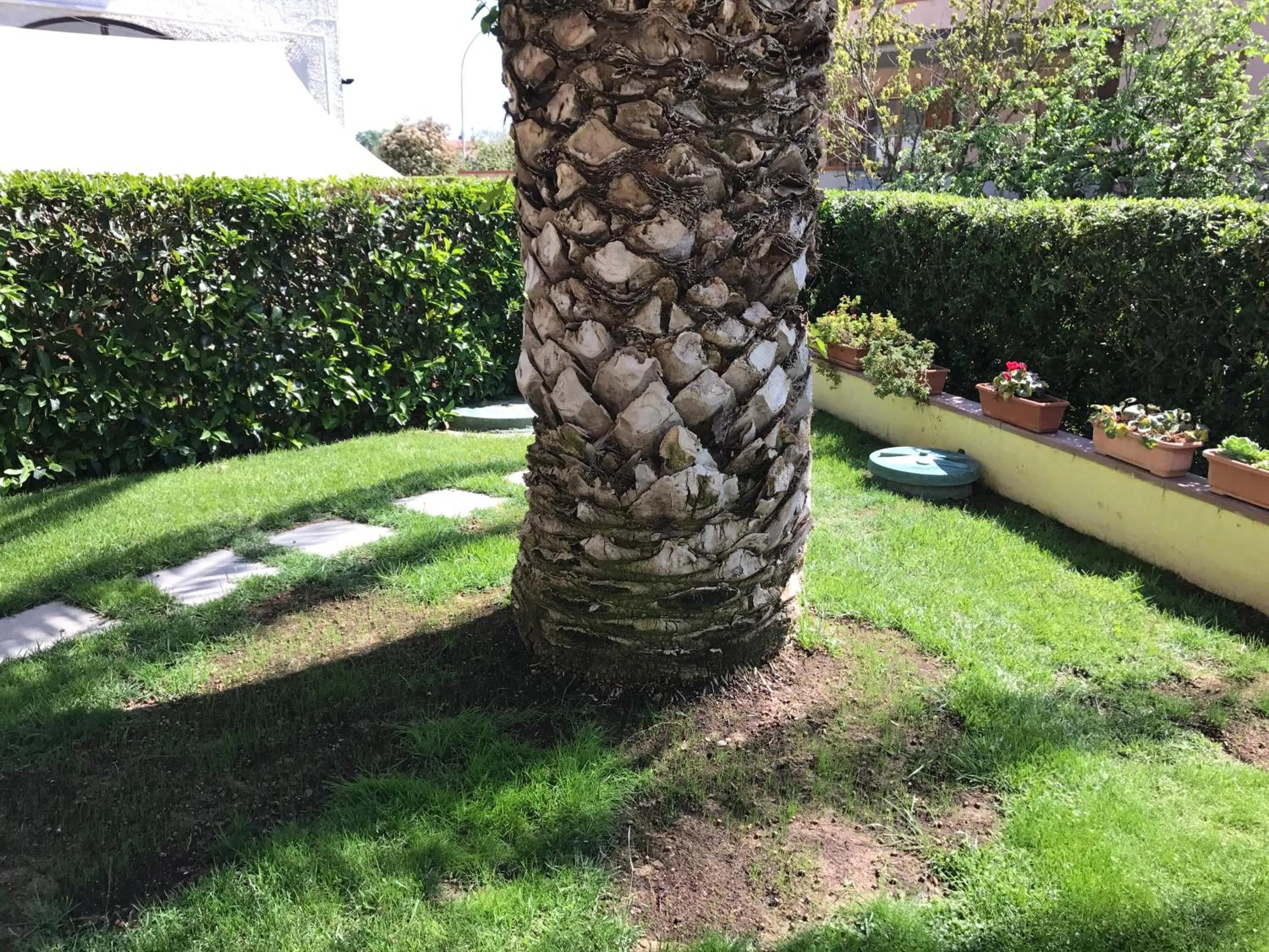 Hotel B&B Rispescia Grosseto