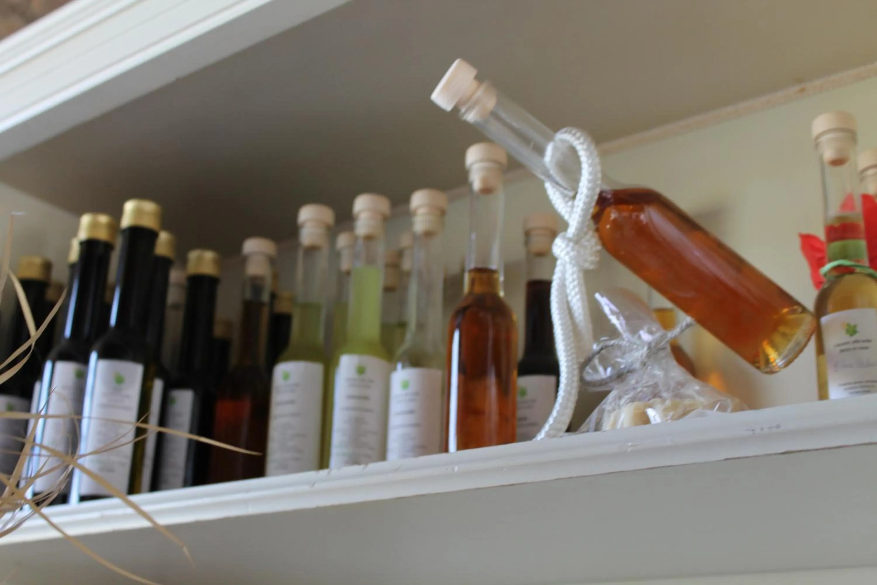 Activities in Country House Erba Regina