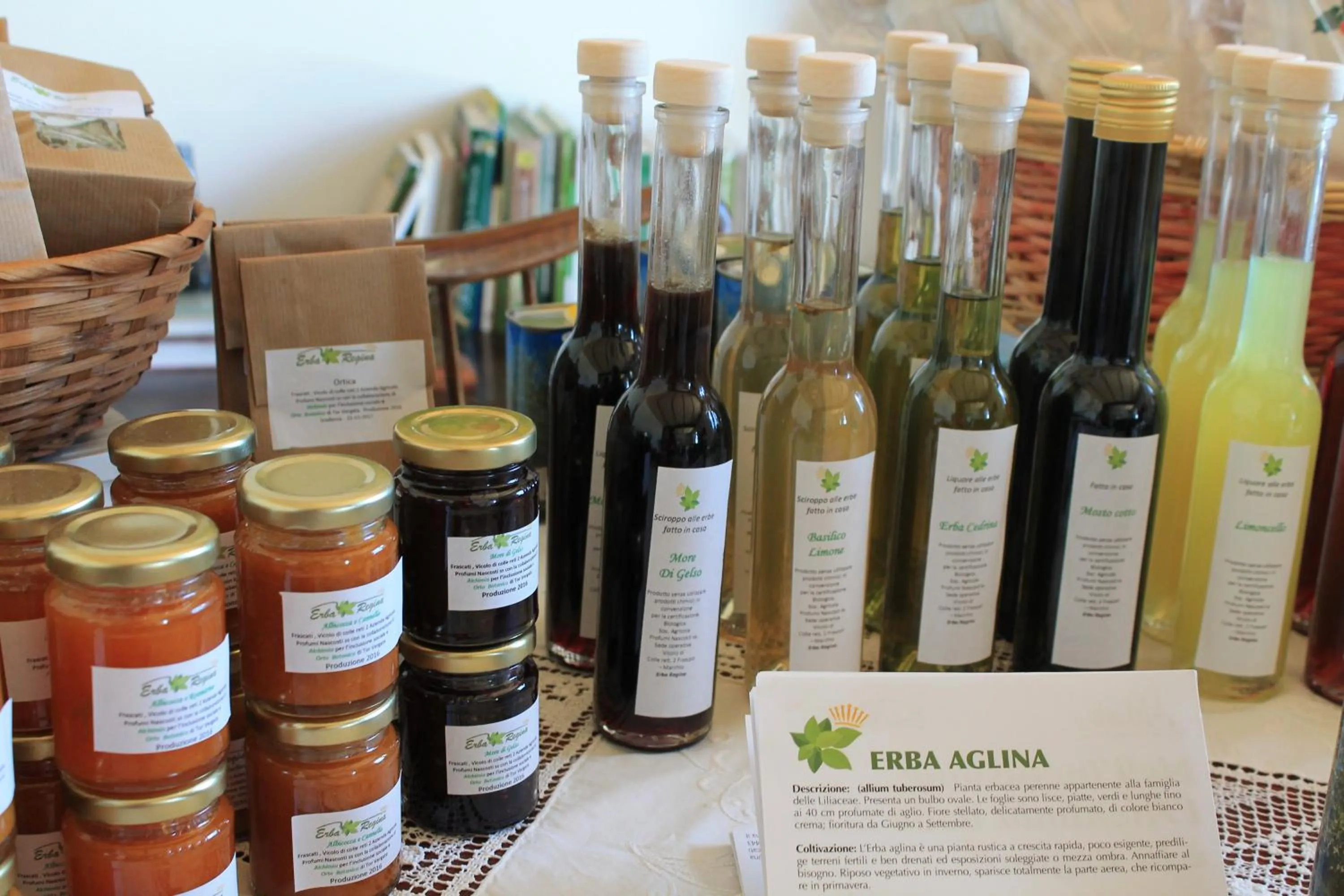 Activities in Country House Erba Regina