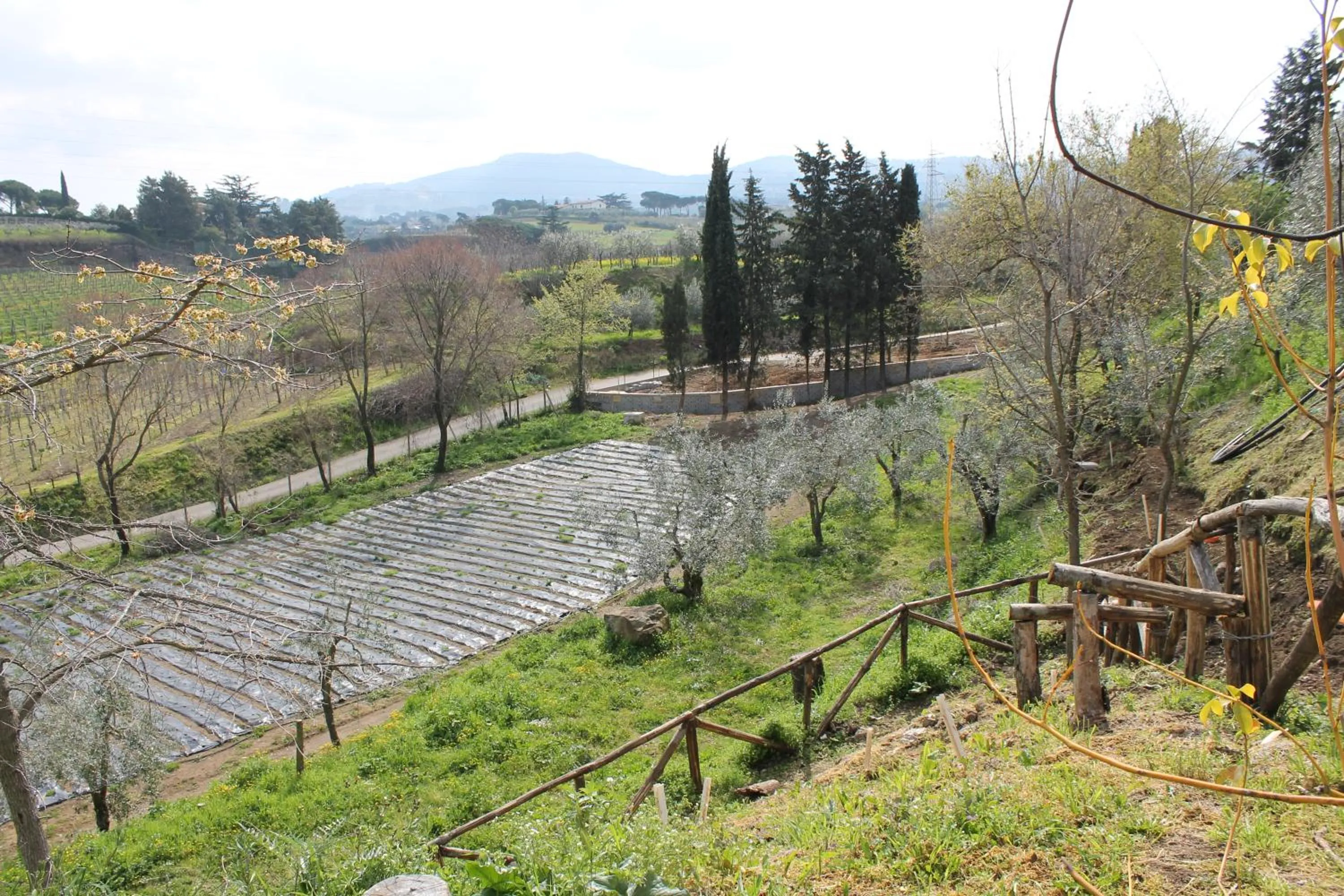 Activities in Country House Erba Regina