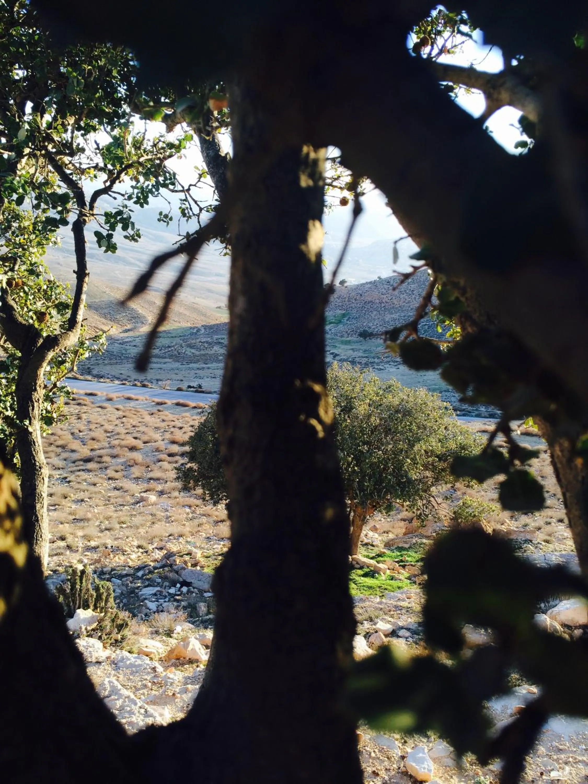 Day in My Home Petra