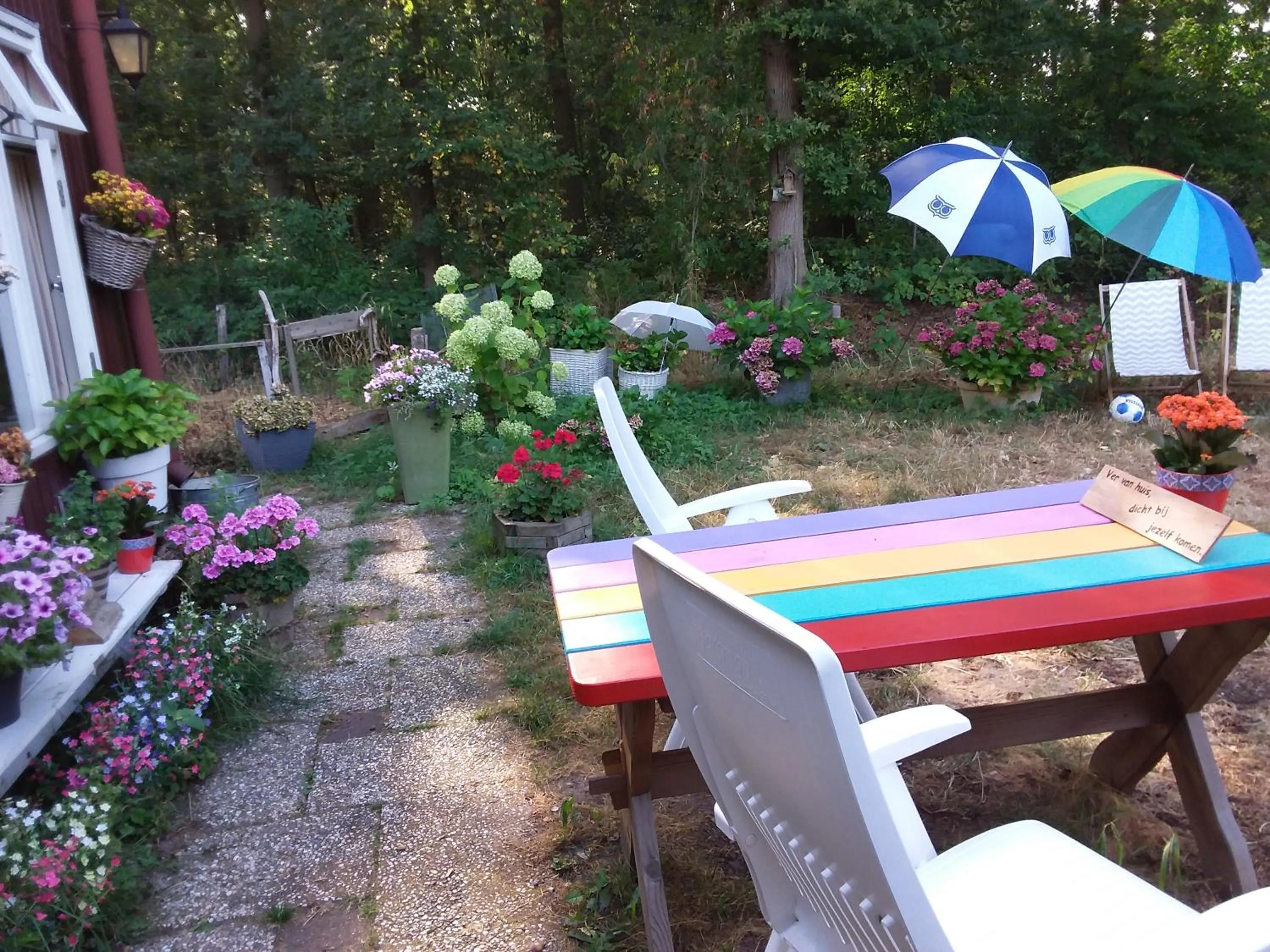 Garden in Regina Vught