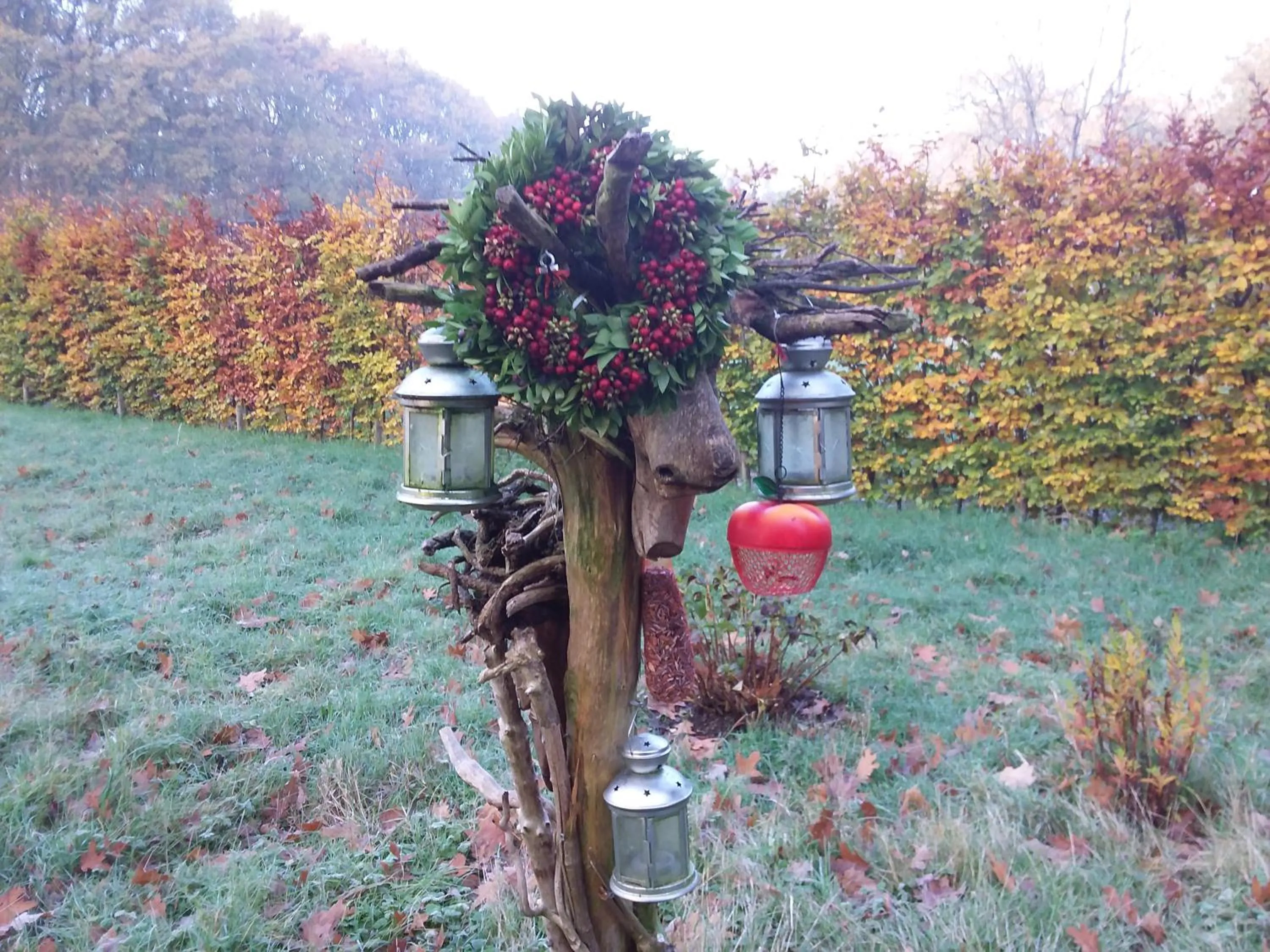 Garden in Regina Vught