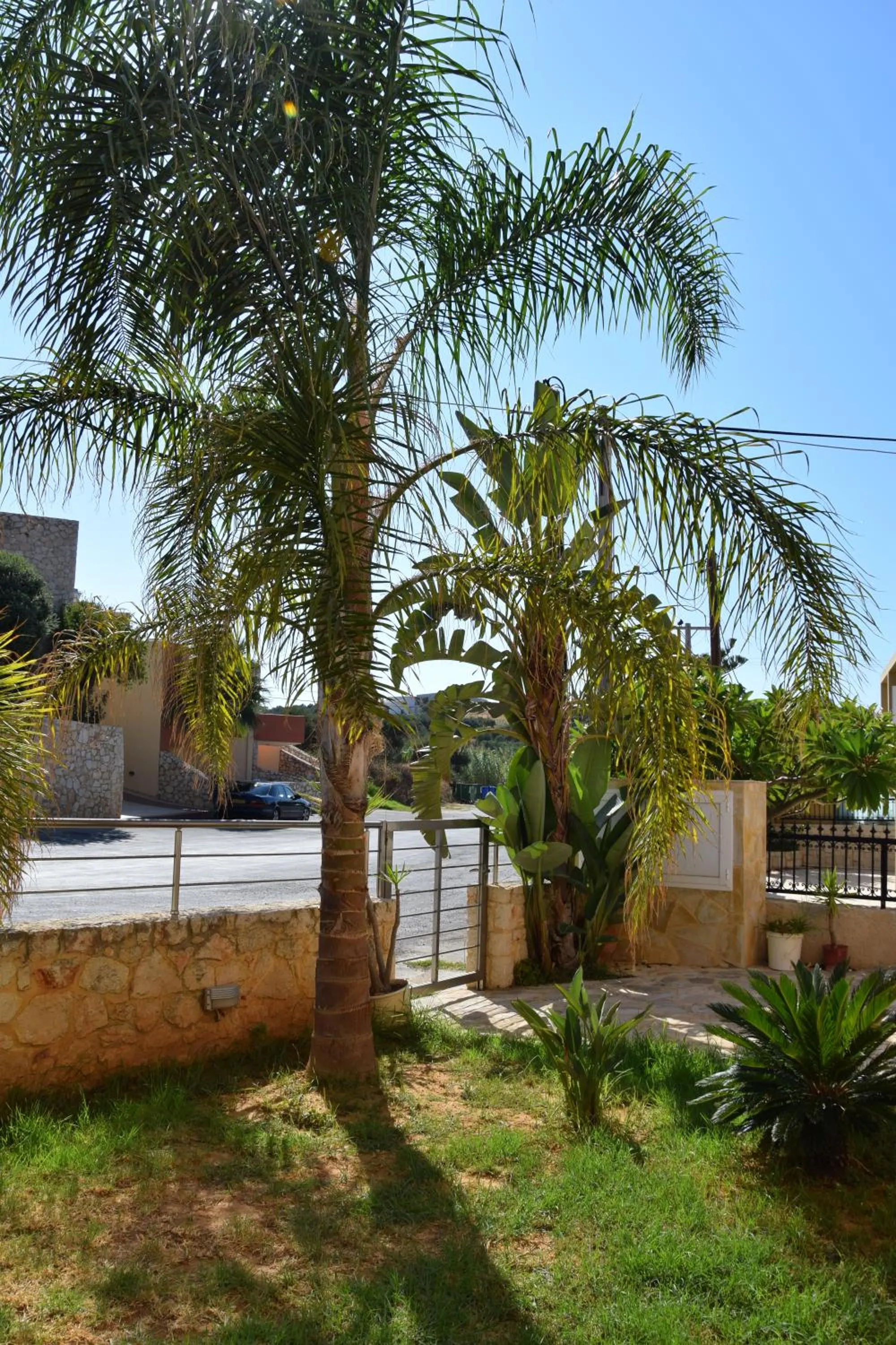 Garden in Rubini Homes