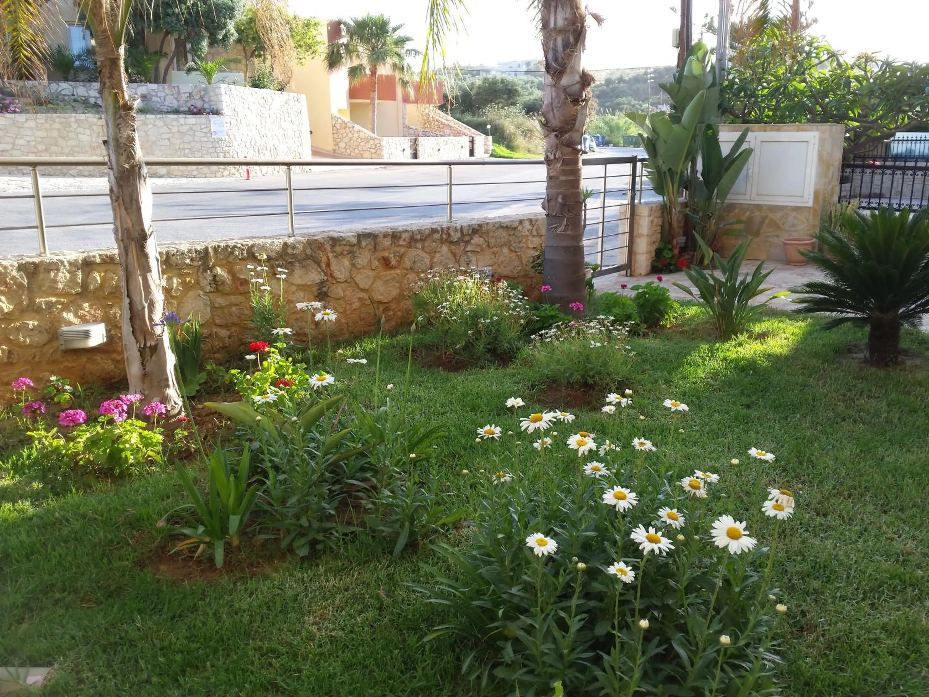 Rubini Homes