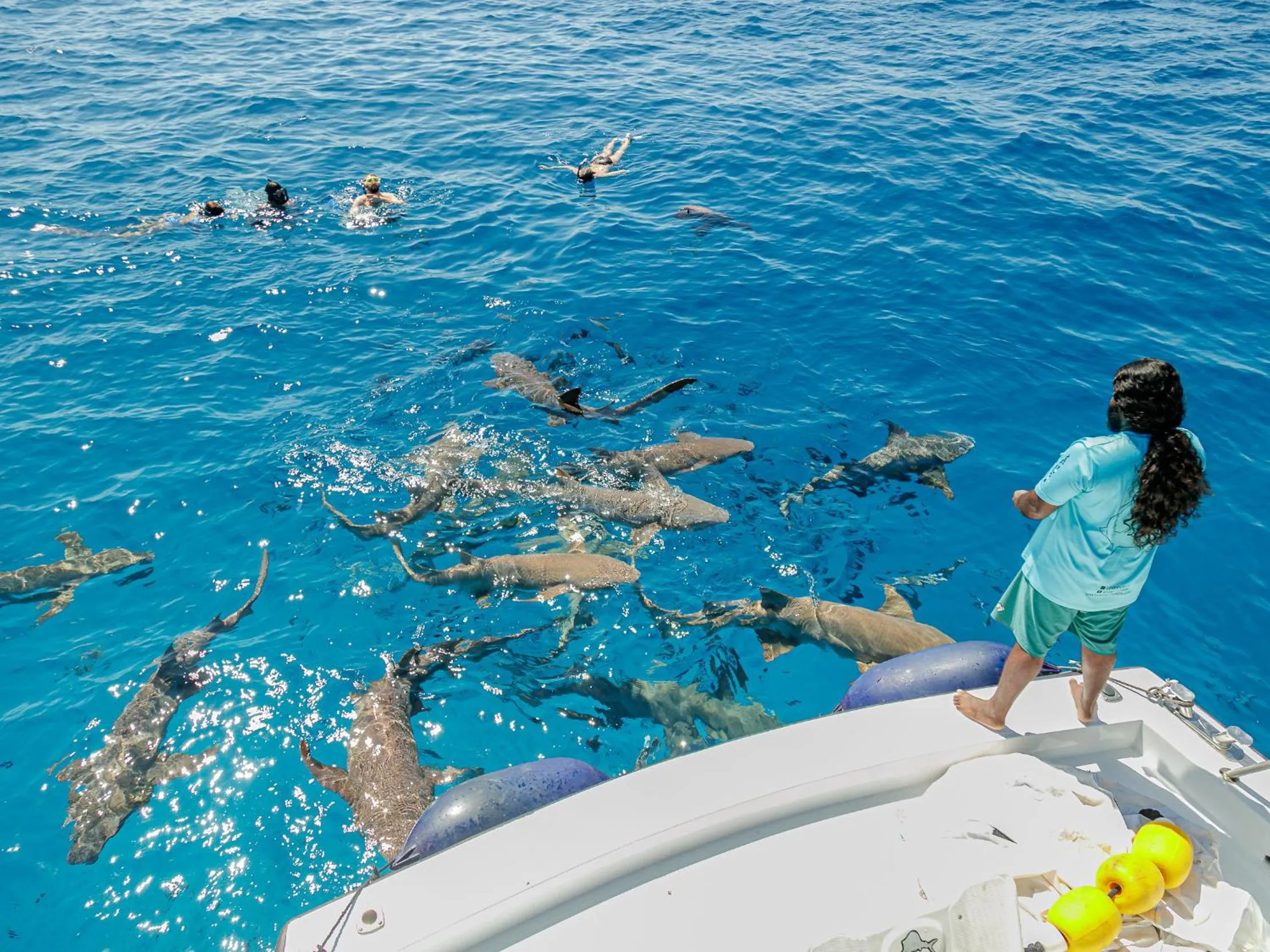 Snorkeling in Kinan Retreat