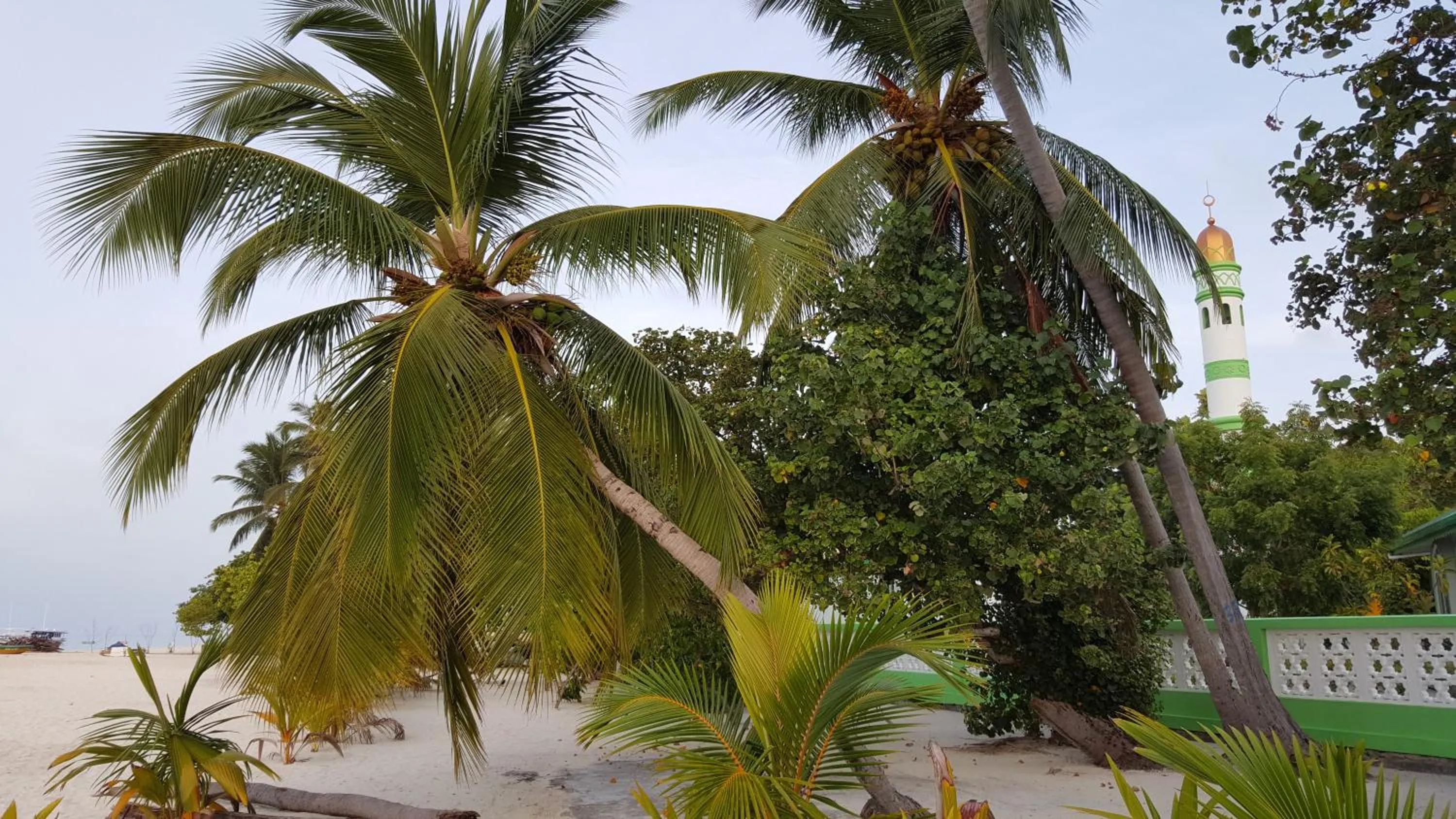 Natural landscape in Kinan Retreat