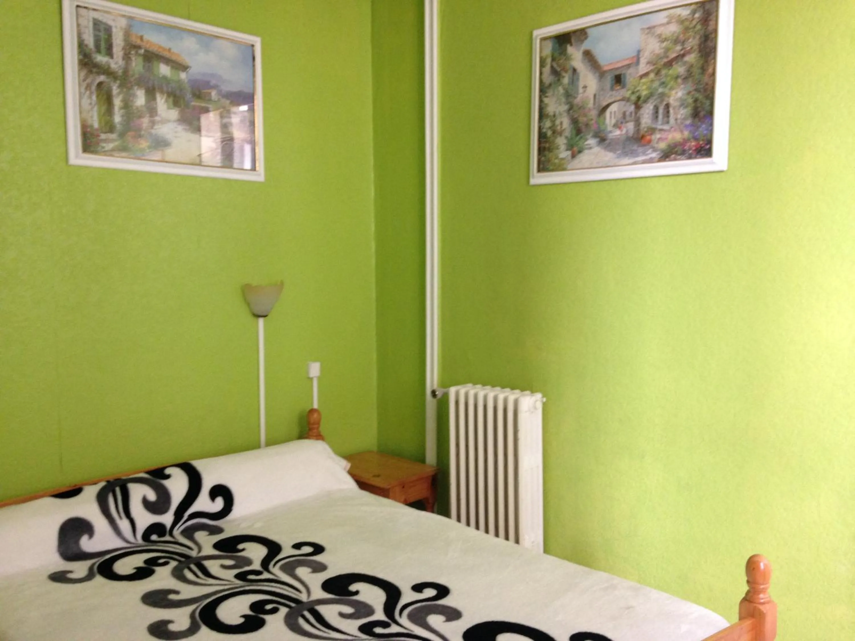 Double Room with Private Bathroom - single occupancy in Hotel Du Parc