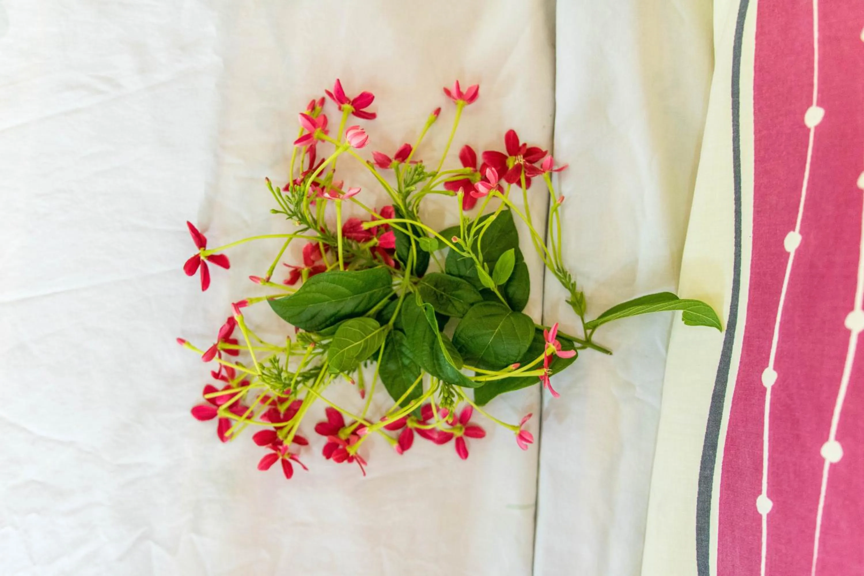Decorative detail in Blue Lagoon Villa