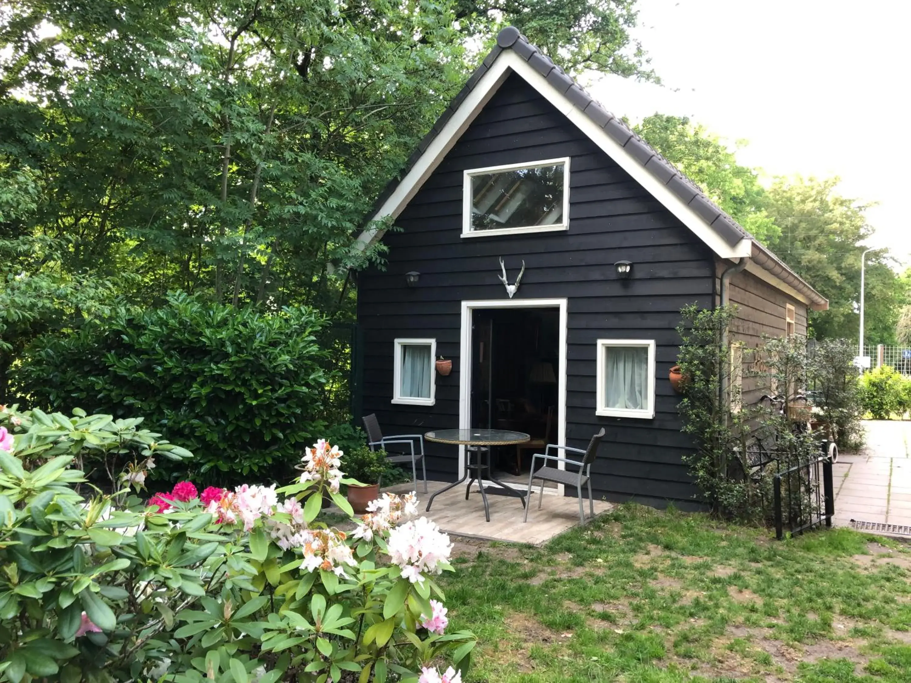Cozy Cottage Cozy Cottage