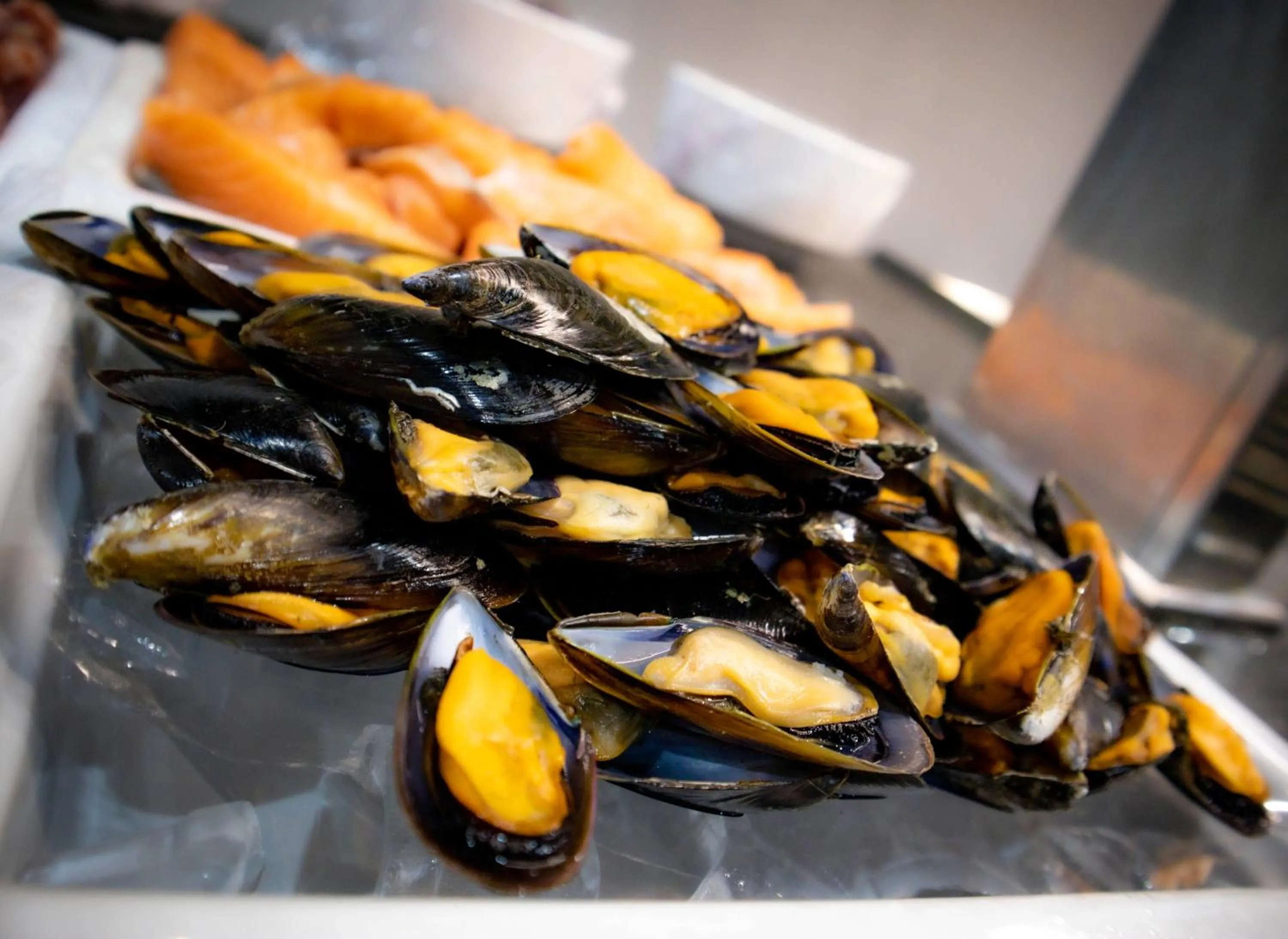 Restaurant/places to eat in Hotel Roc Meler