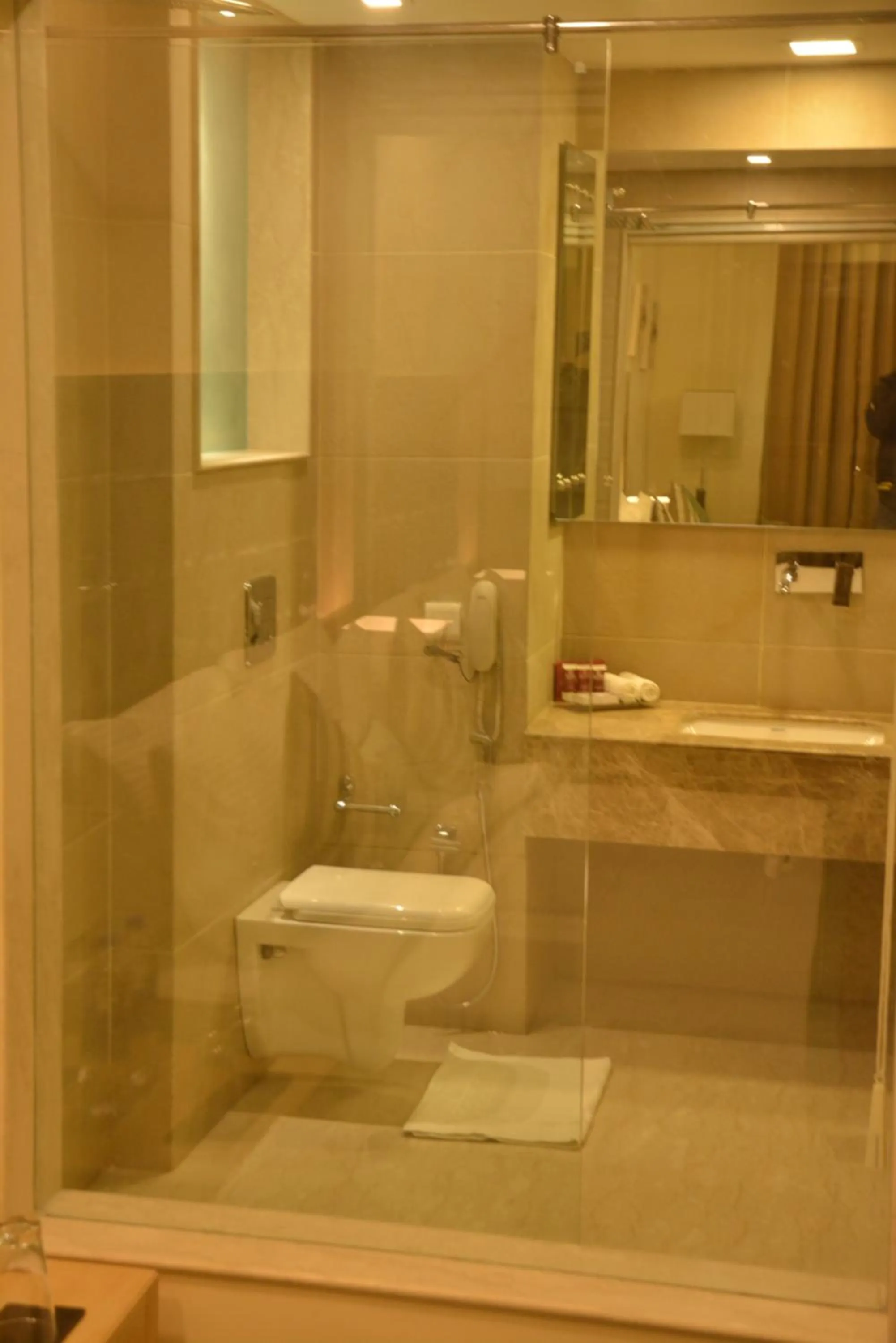 Toilet in Grand Plaza Lords Inn Jammu