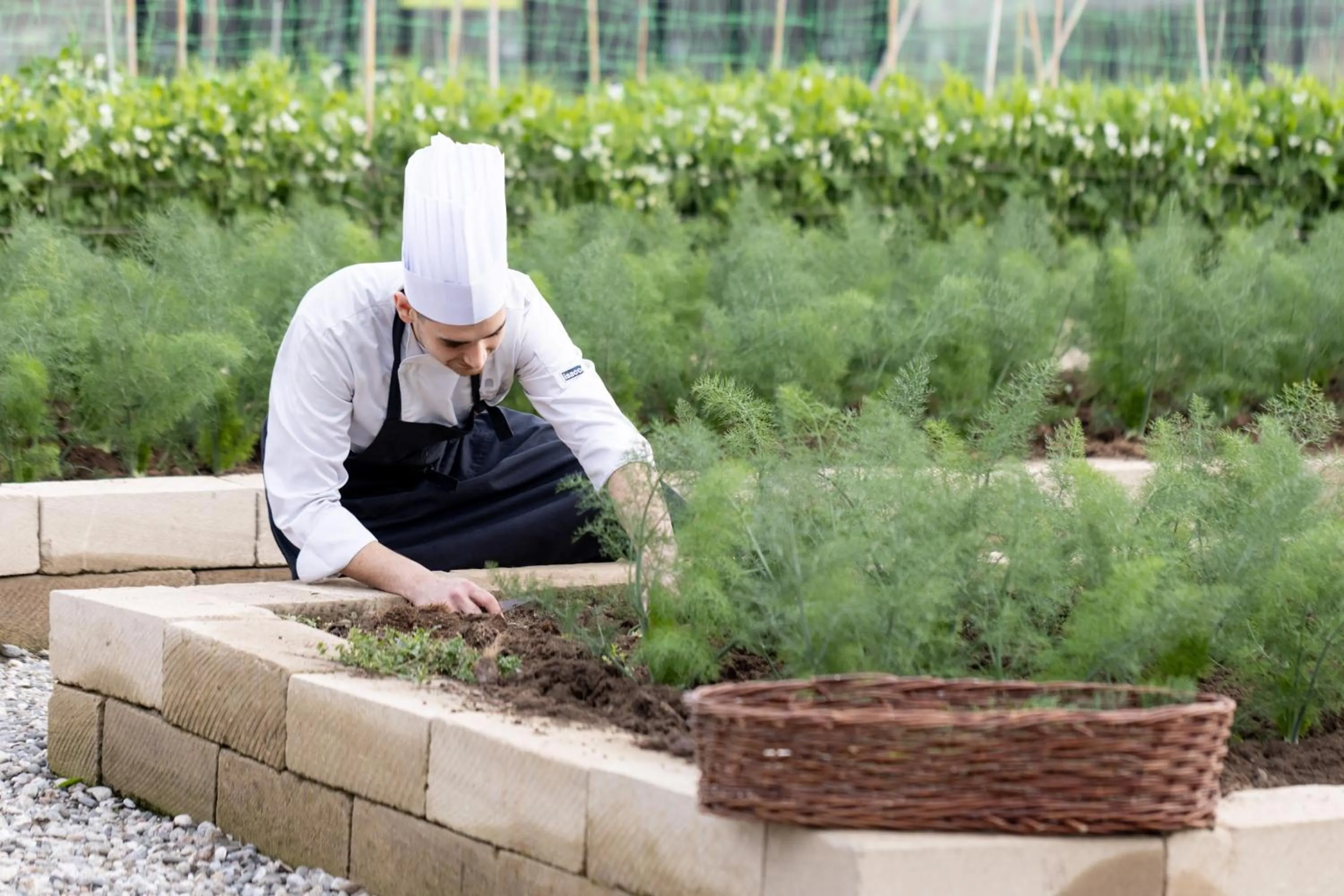 Restaurant/places to eat in Donna Carmela Resort & Lodges