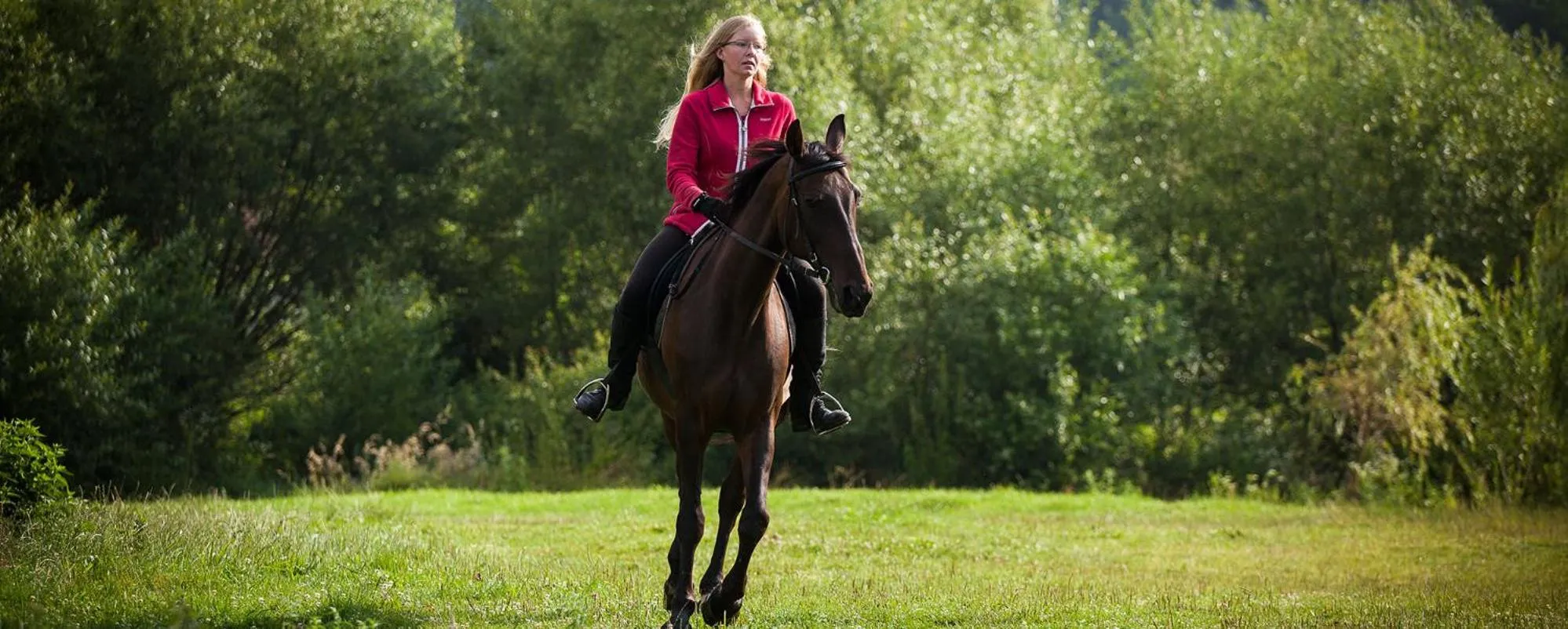Horse-riding in Valea Verde Retreat Transilvania