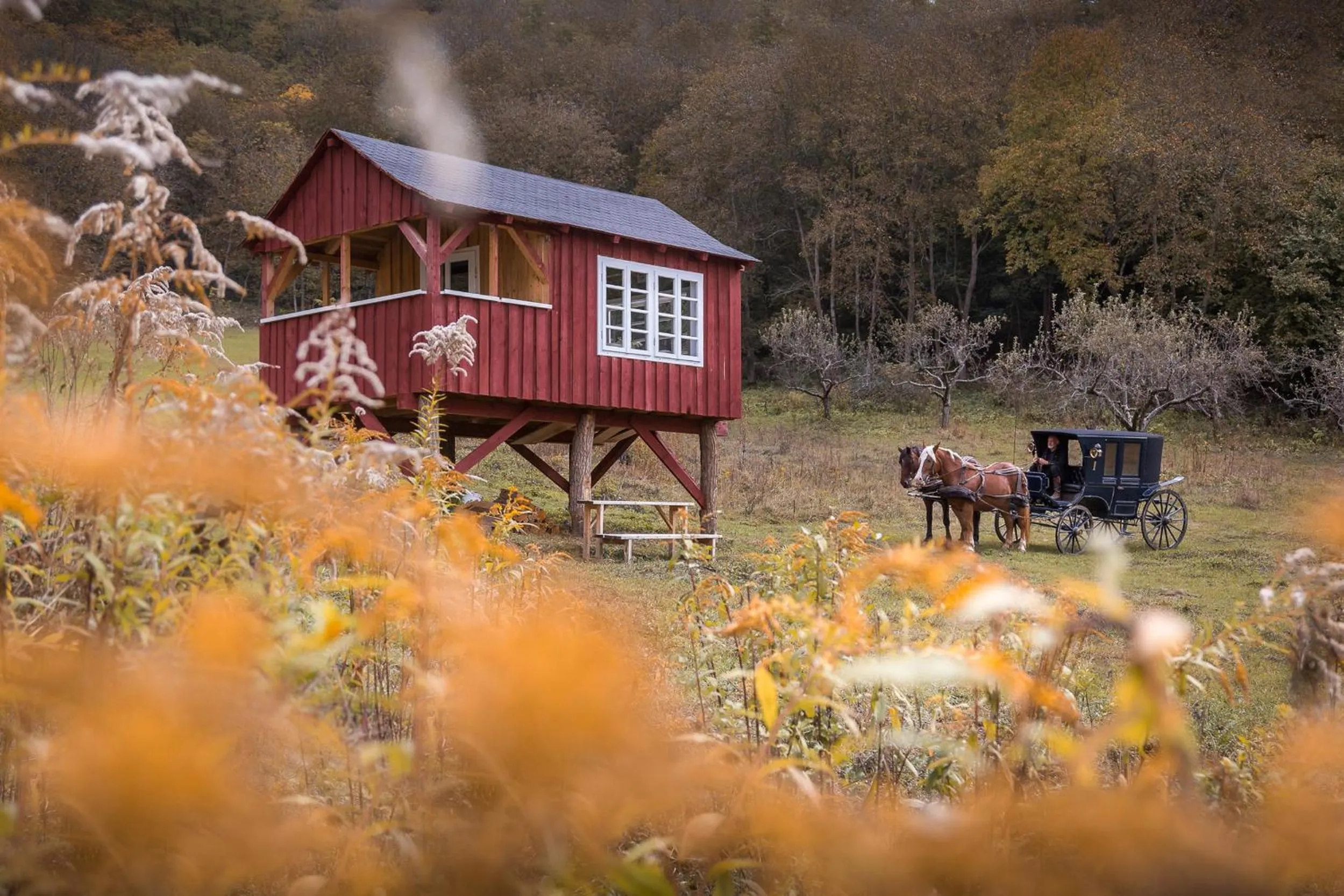 group of guests in Valea Verde Retreat Transilvania
