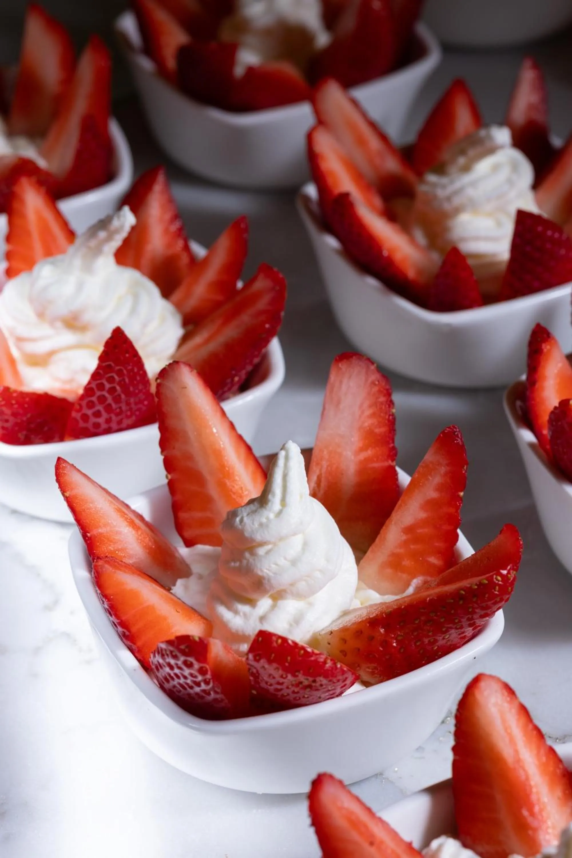 Hotel Euroski Mountain Resort & Spa